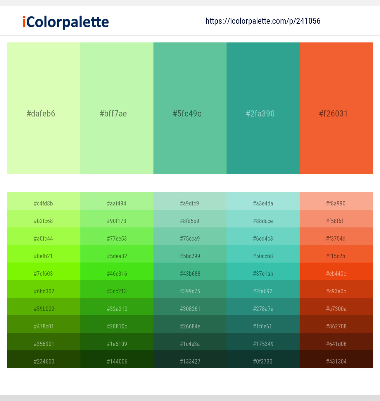 241056366 Bright Color Palettes