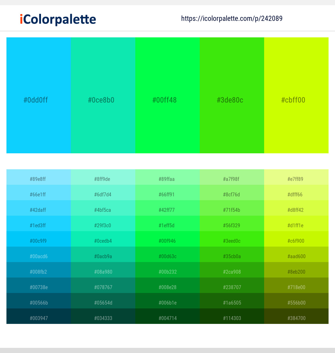 242089366 Bright Color Palettes