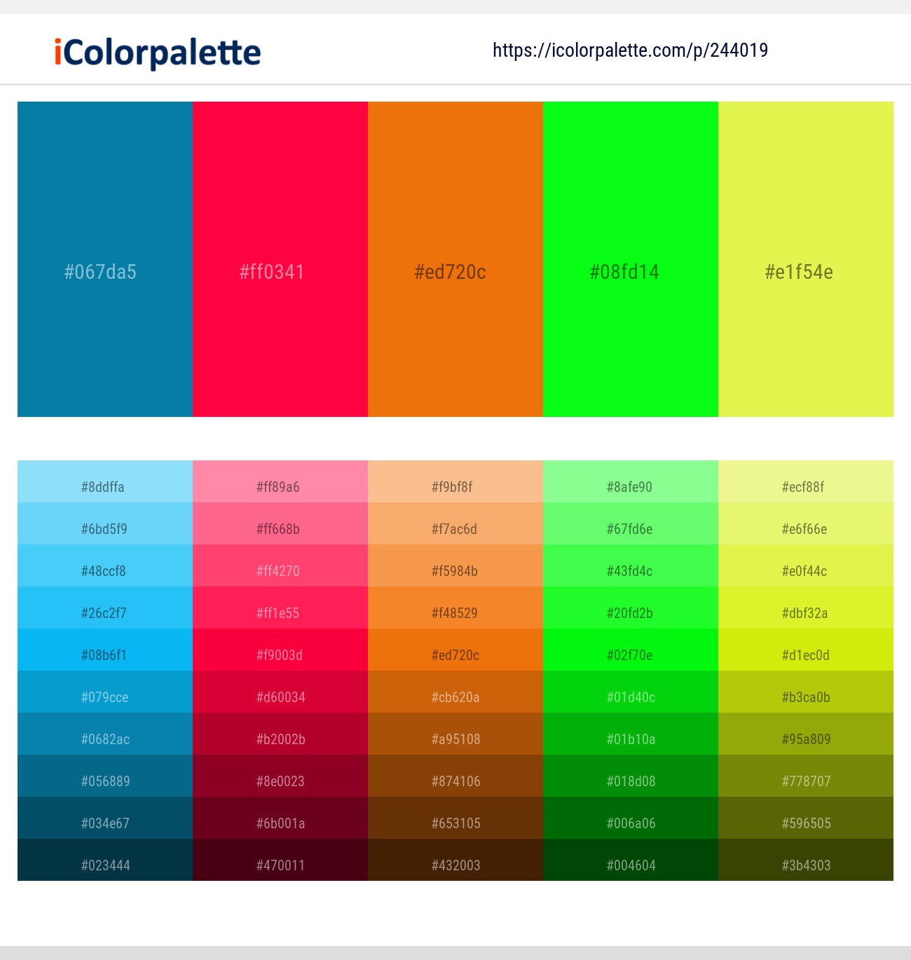 244019366 Bright Color Palettes