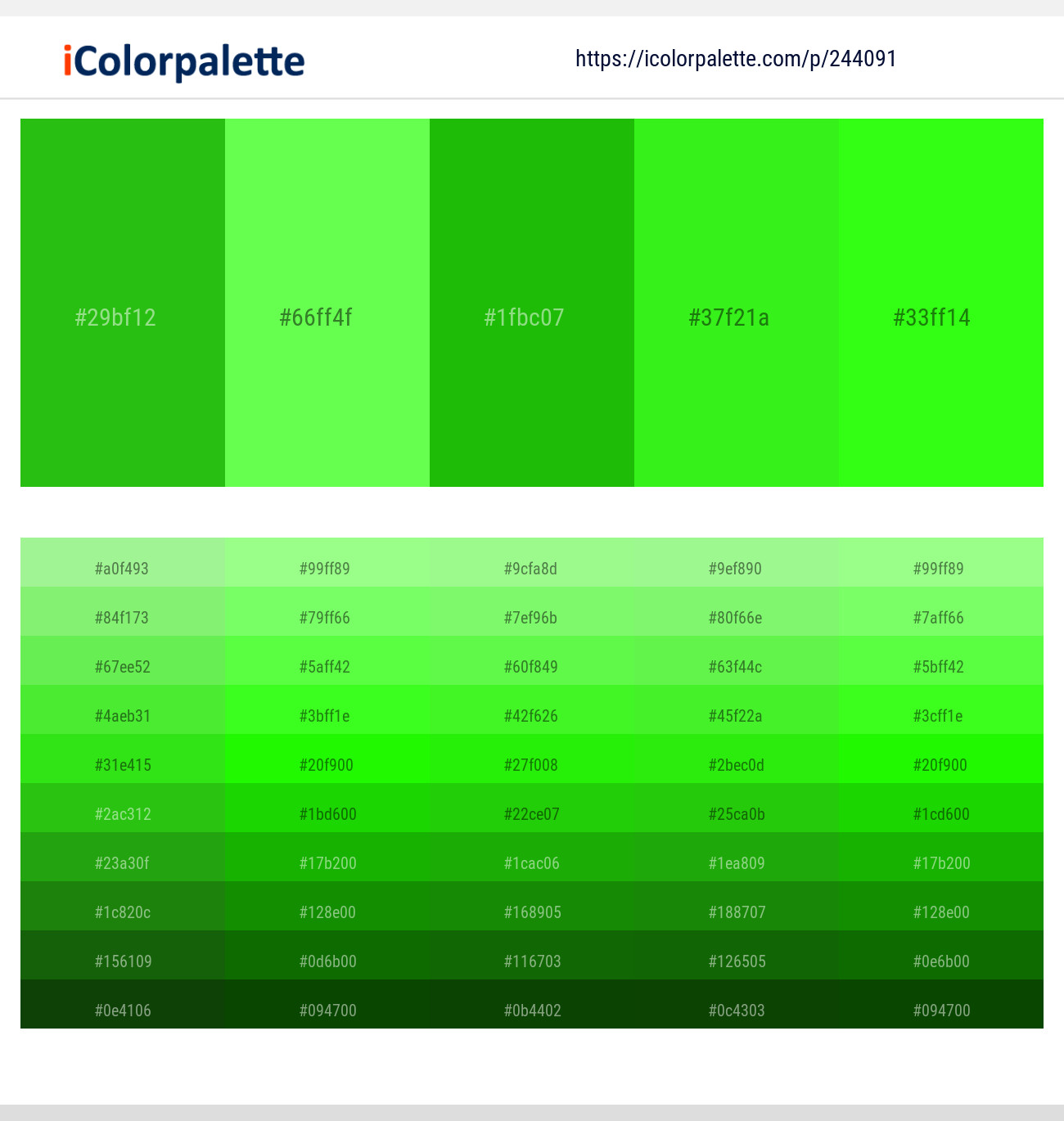 244091366 Bright Color Palettes