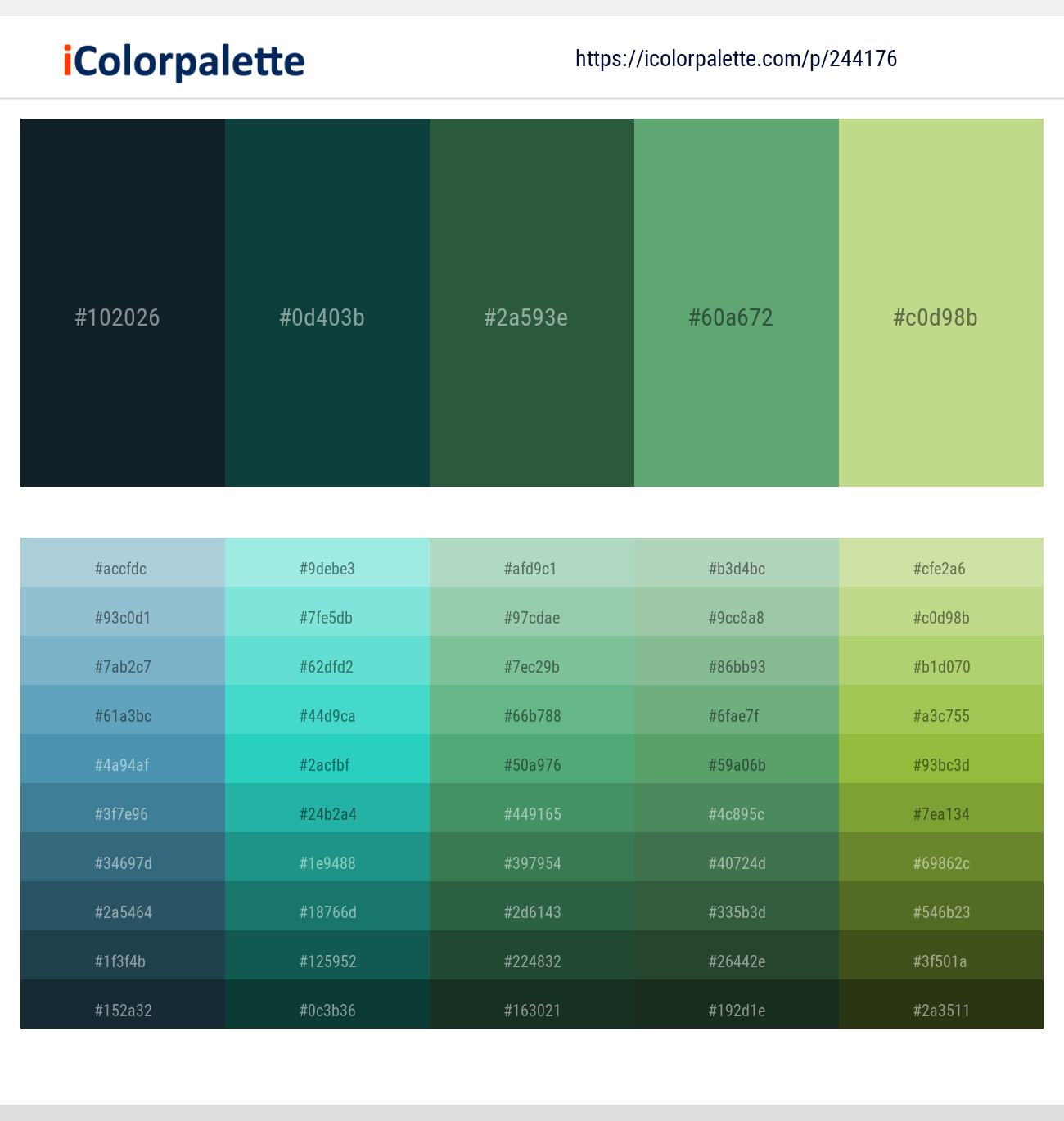 Aztec – Bottle Green – Plantation – Aqua Forest – Deco Color scheme