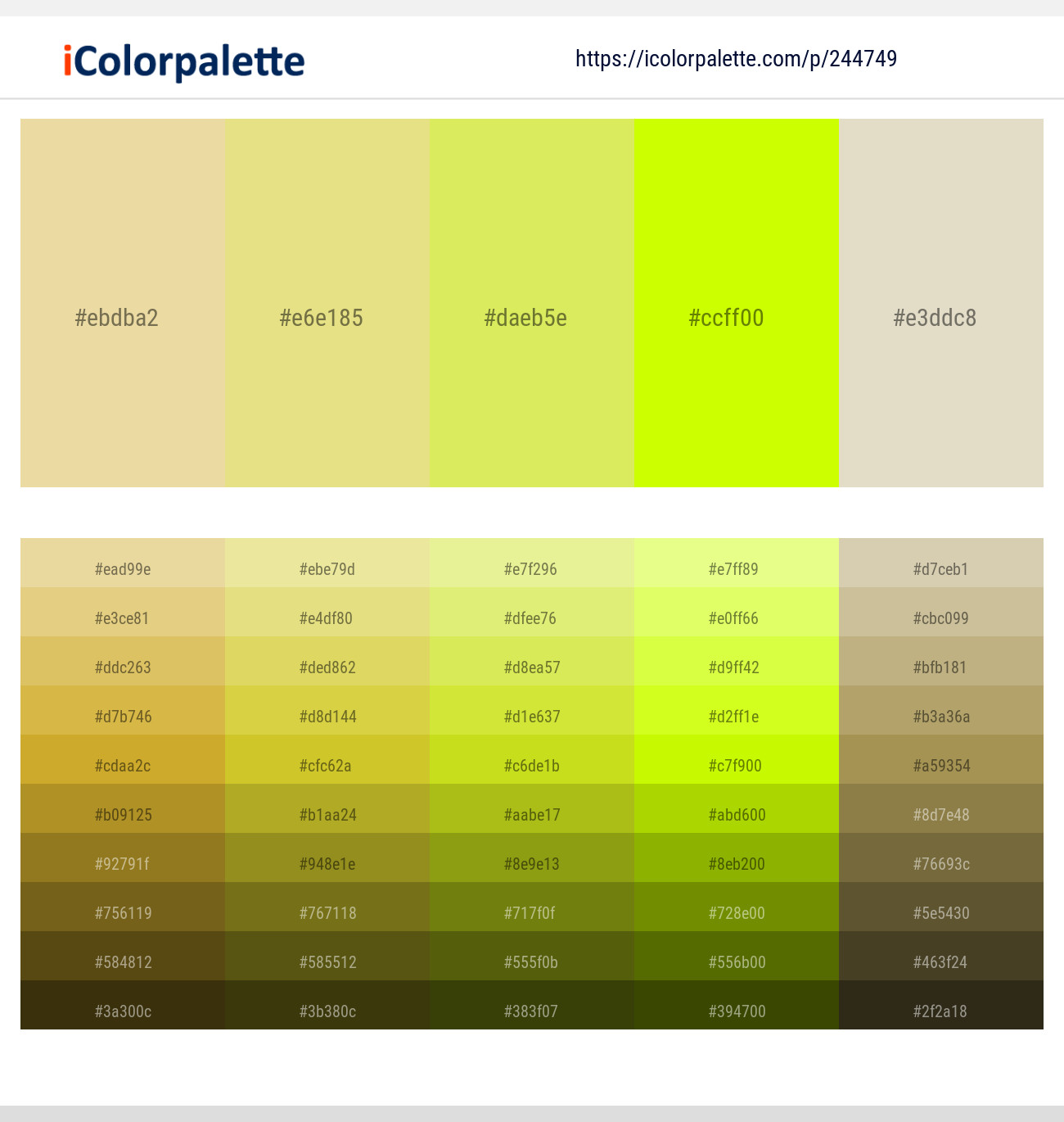 Double Colonial White – Wild Rice – Confetti – Electric Lime – White Rock Color scheme