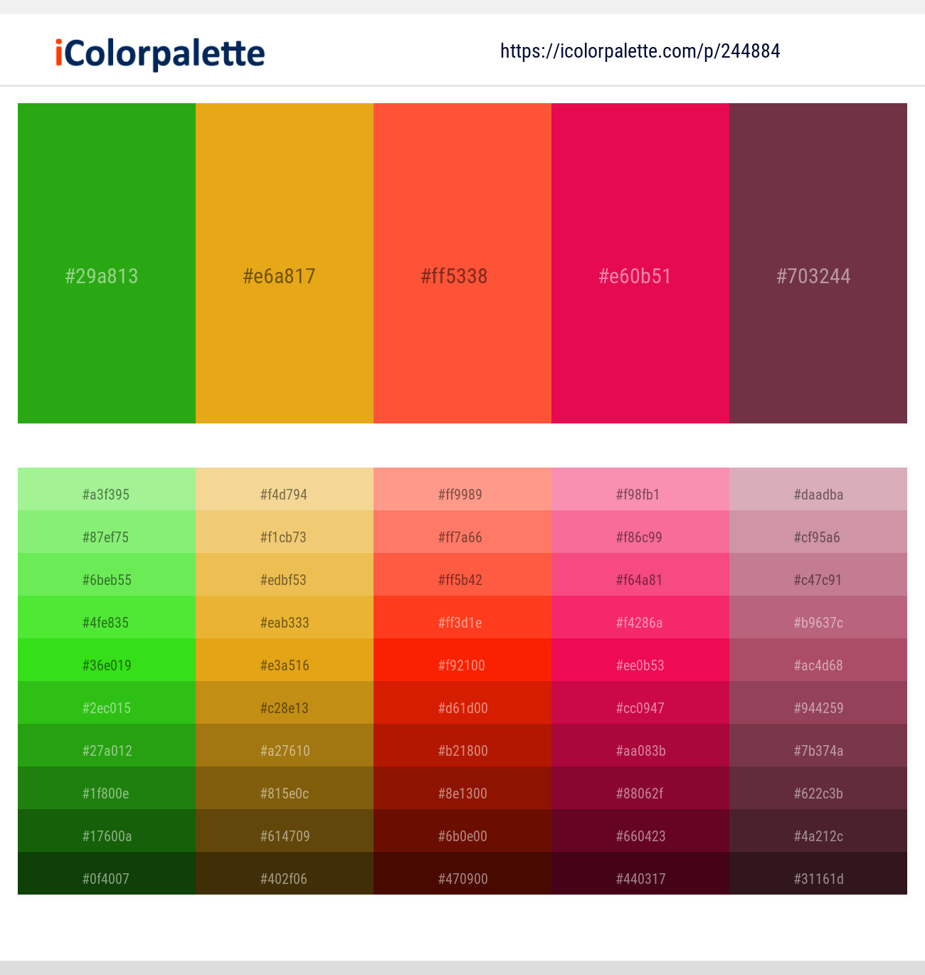 244884366 Bright Color Palettes