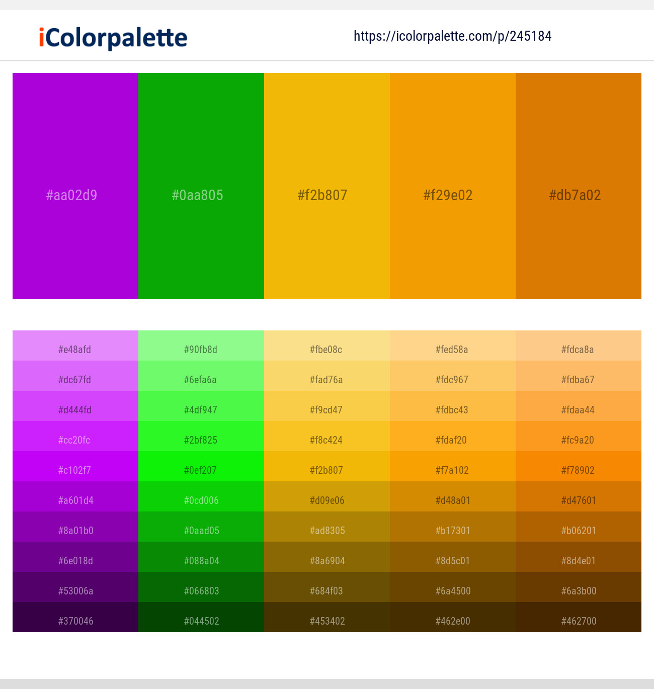 245184366 Bright Color Palettes