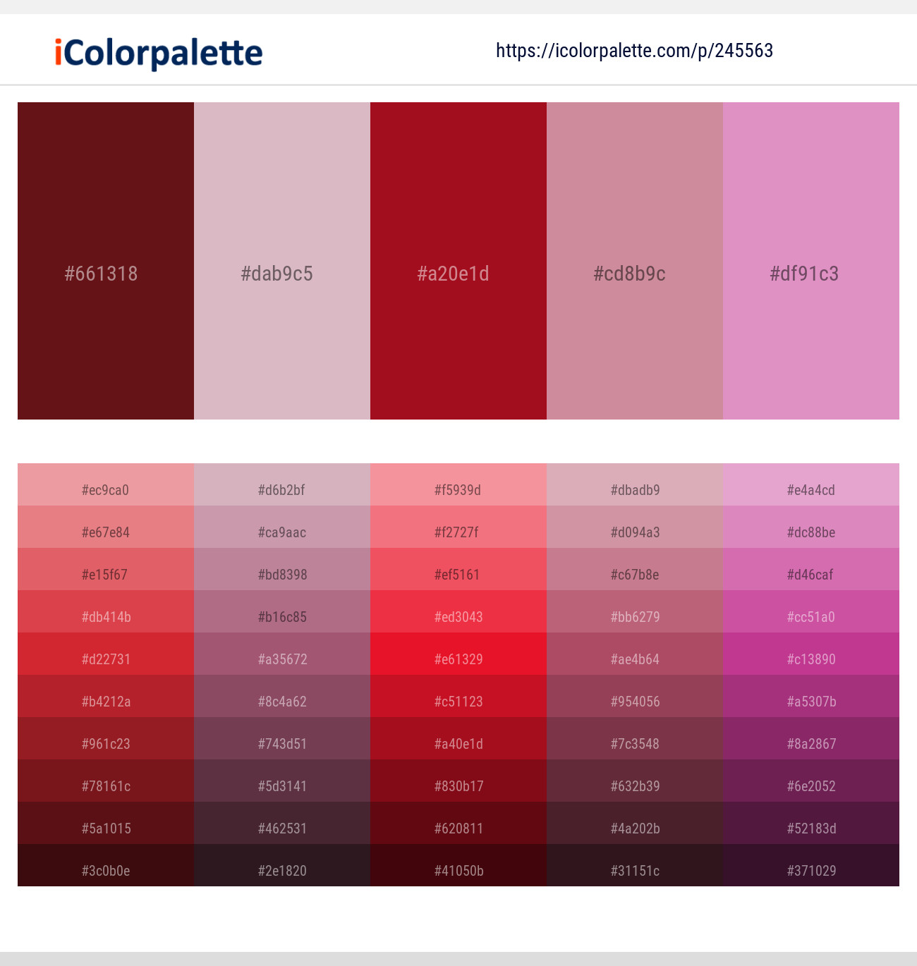 Cherrywood – Pink Flare – Tamarillo – Puce – Shocking Color scheme