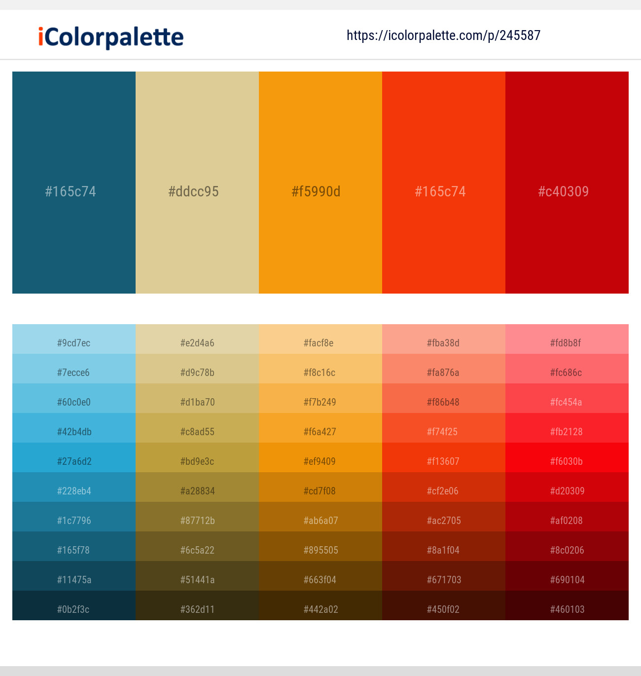 245587366 Bright Color Palettes