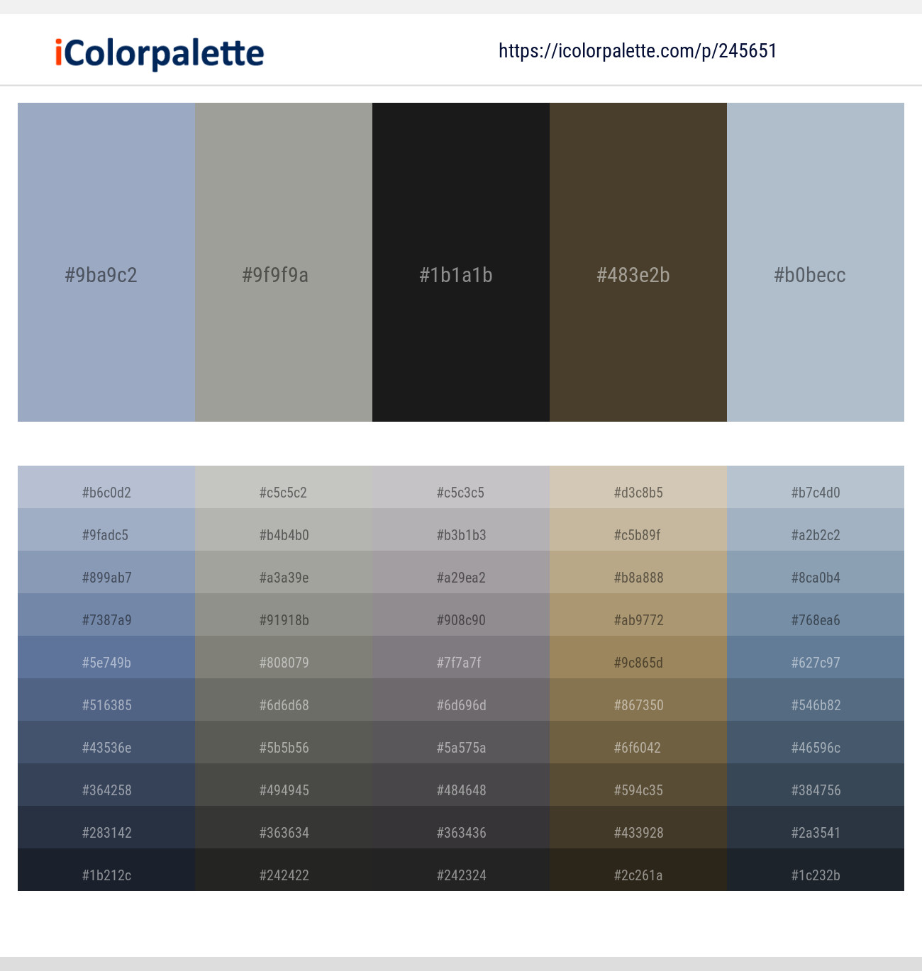 Nepal – Star Dust – Thunder – Mondo – Heather Color scheme