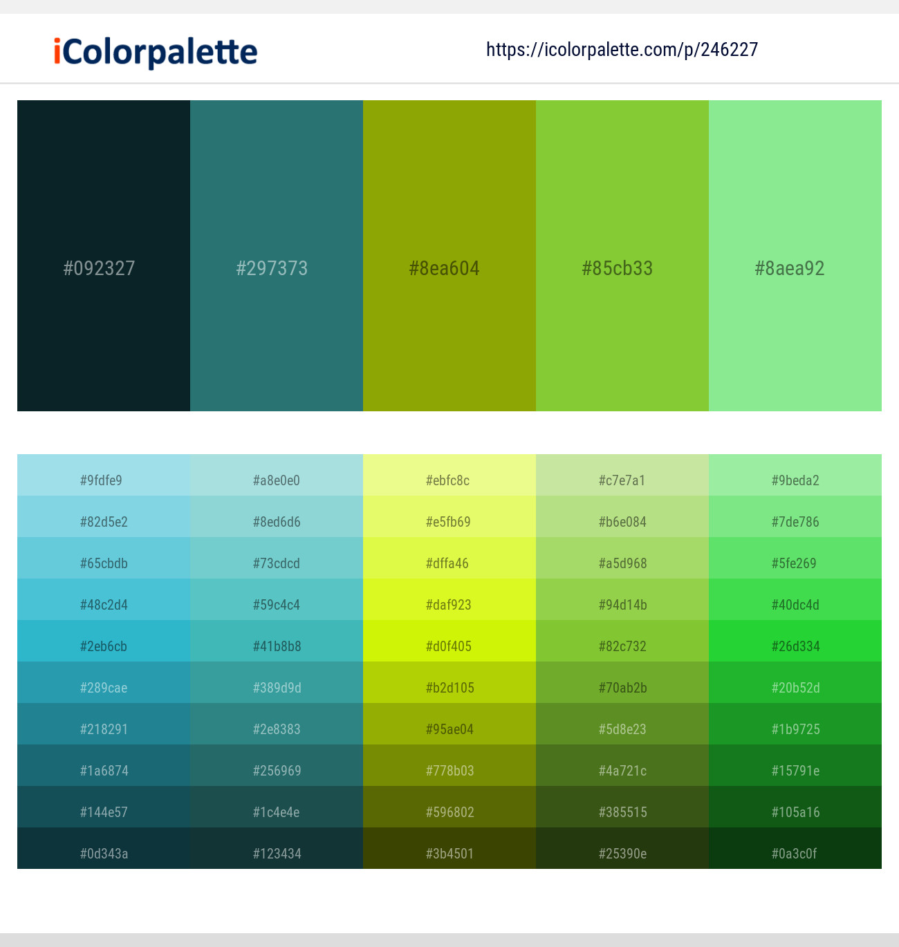 246227366 Bright Color Palettes