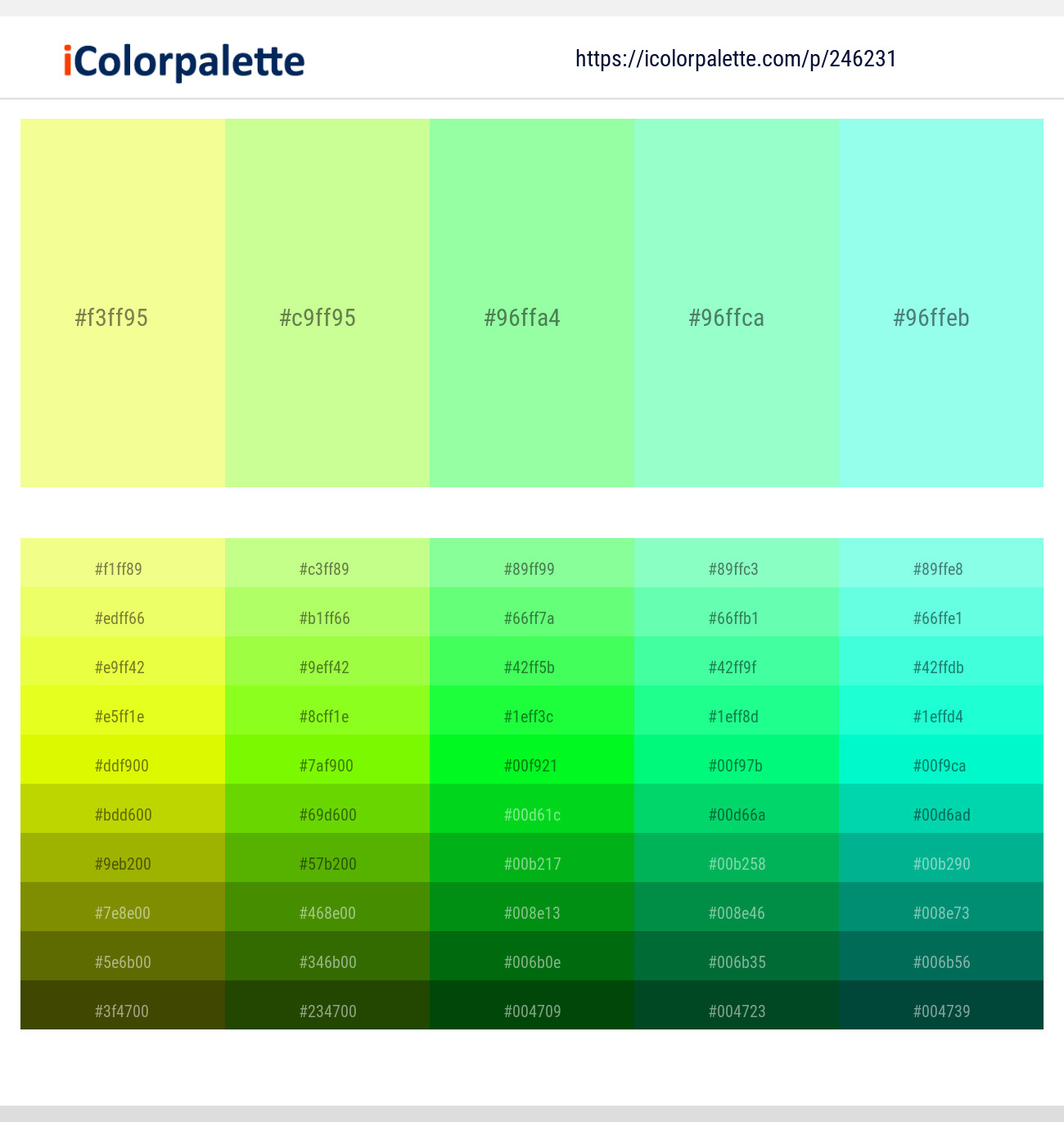 246231366 Bright Color Palettes
