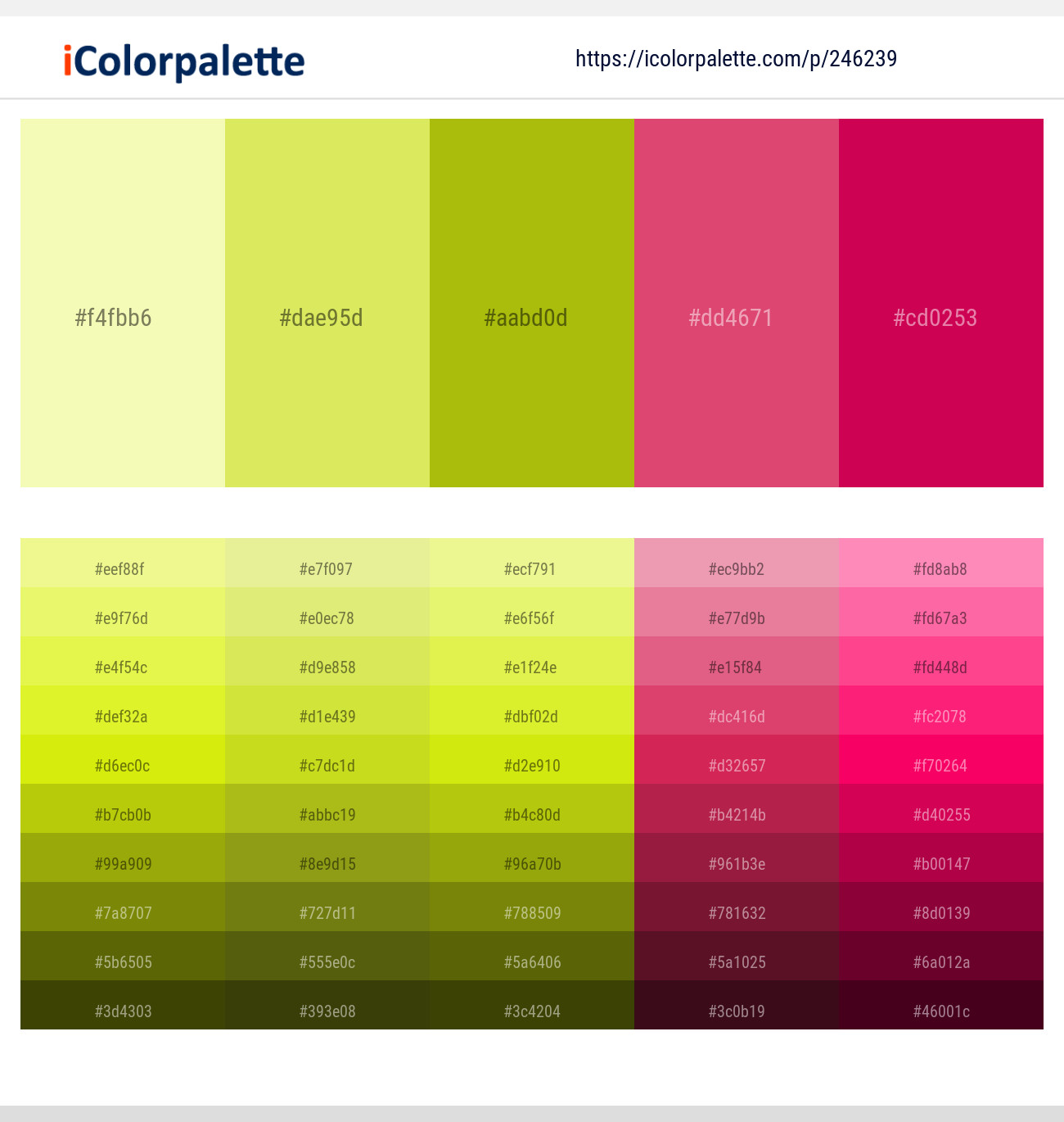 246239366 Bright Color Palettes
