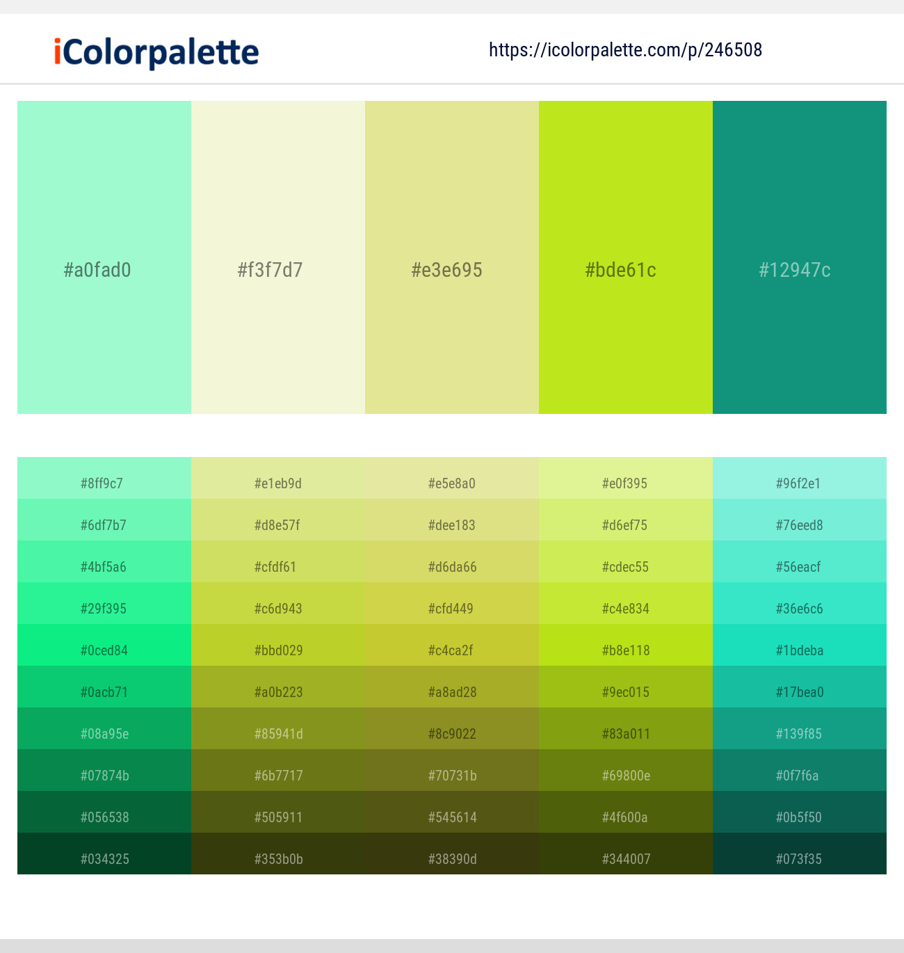 246508366 Bright Color Palettes