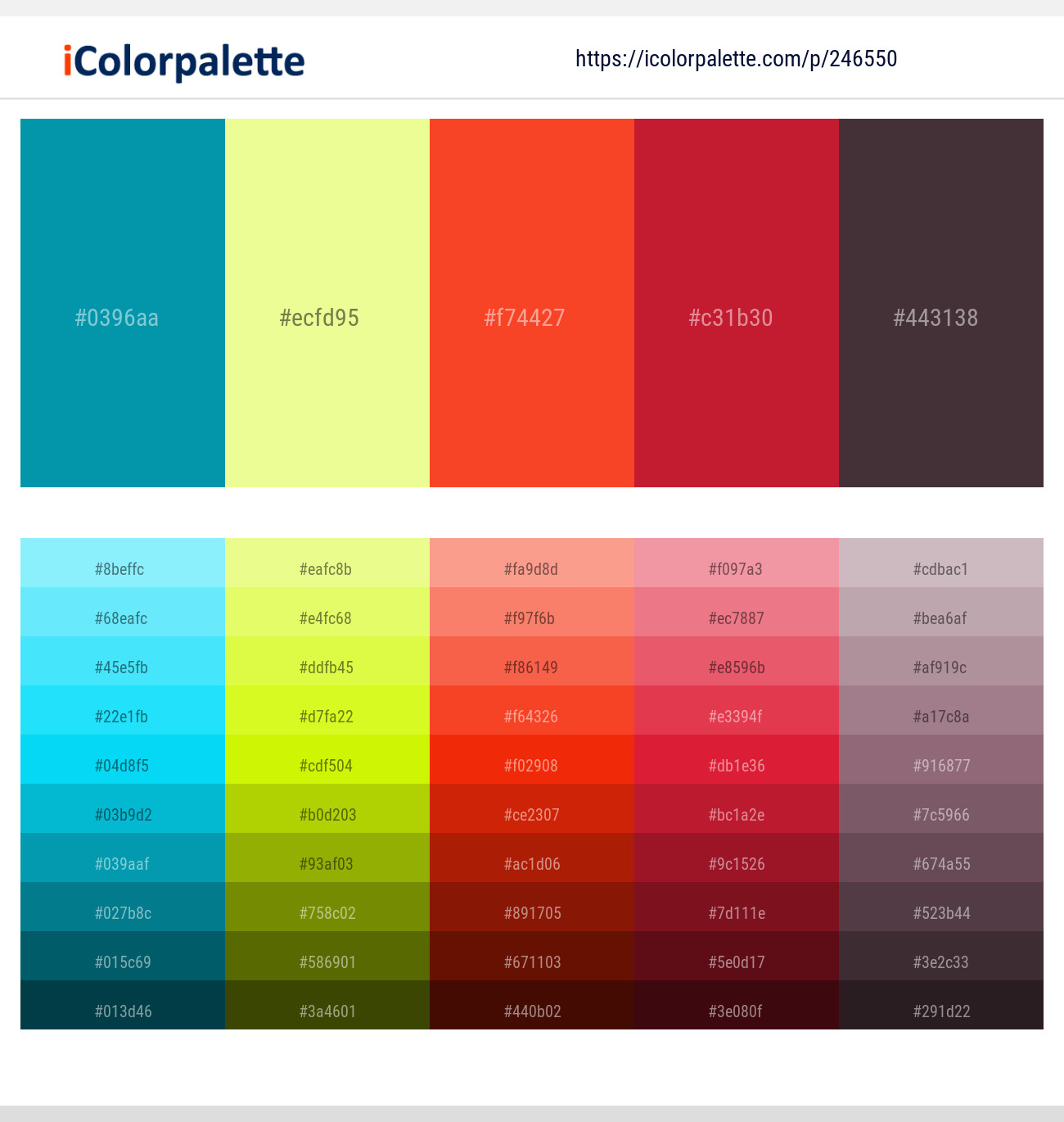 246550366 Bright Color Palettes