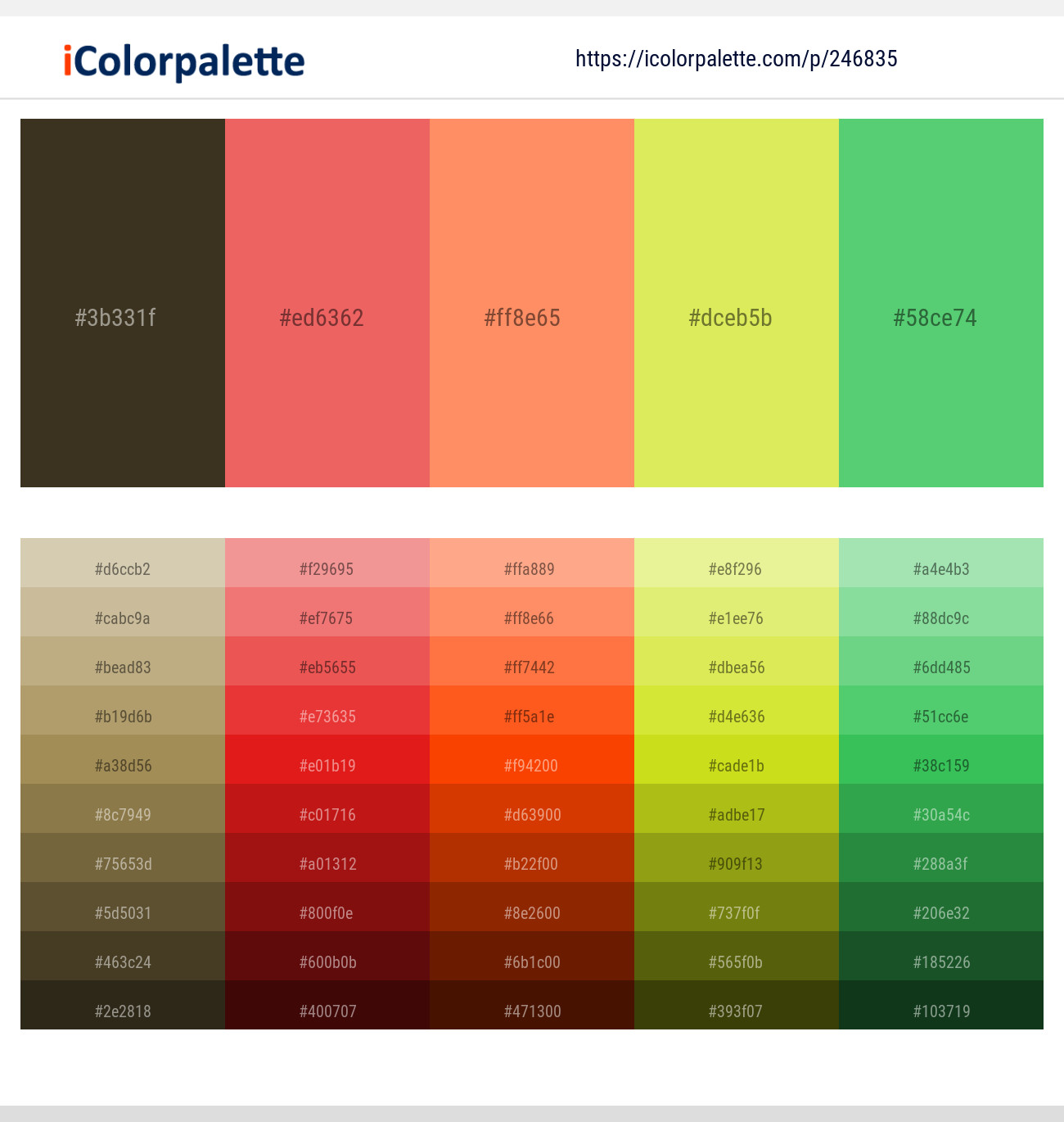 246835366 Bright Color Palettes