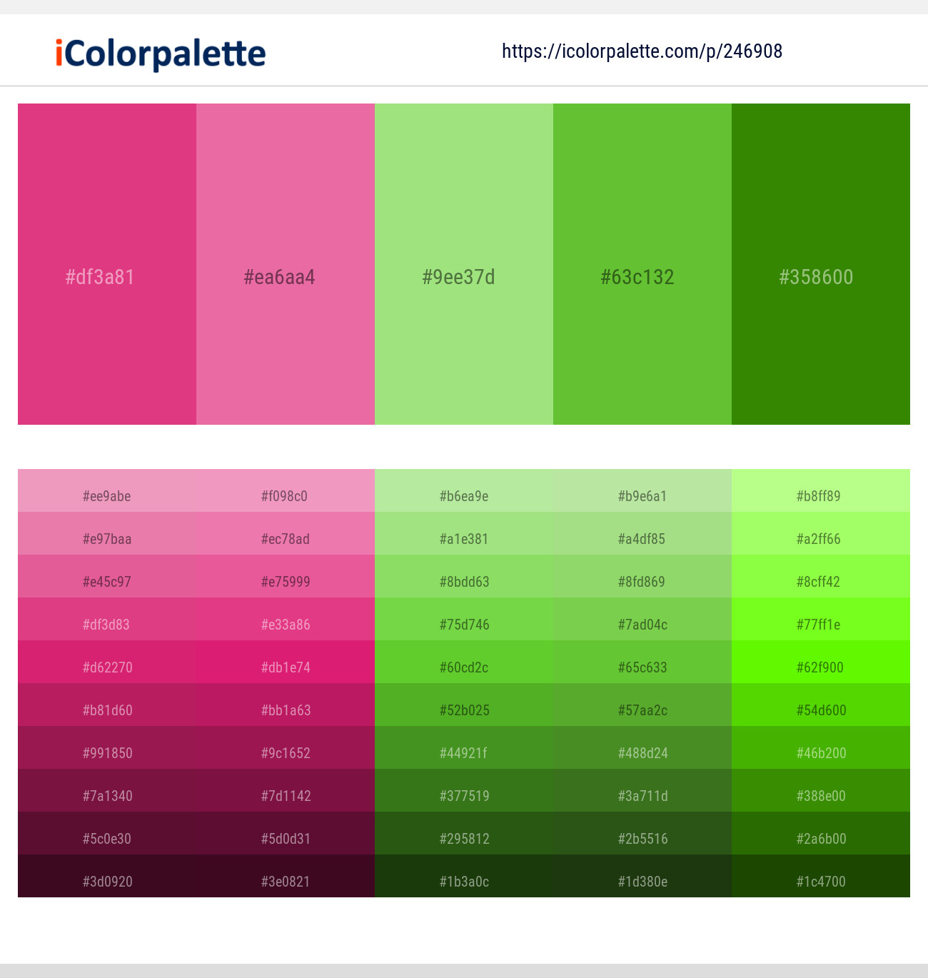 246908366 Bright Color Palettes