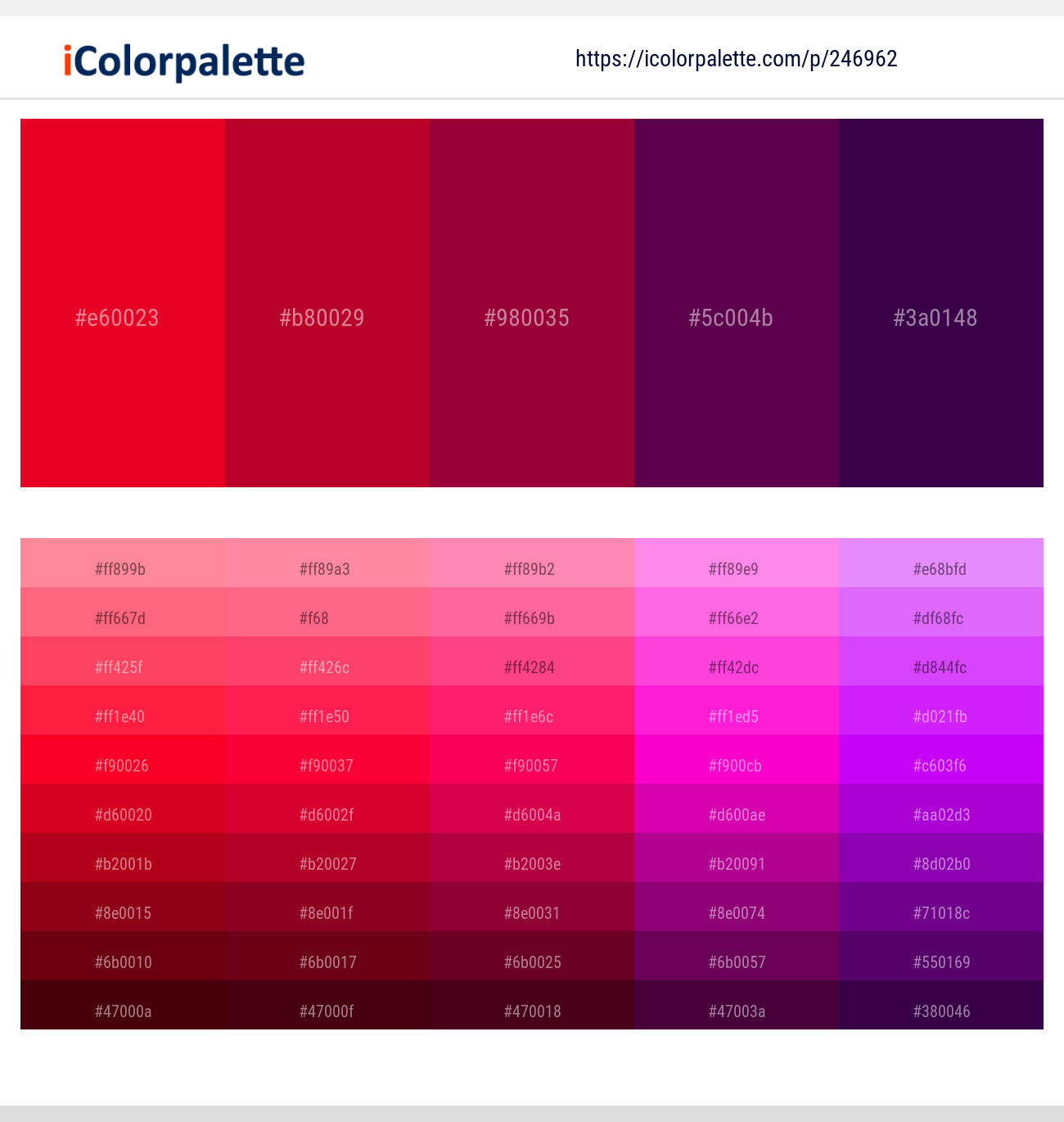 246962366 Bright Color Palettes