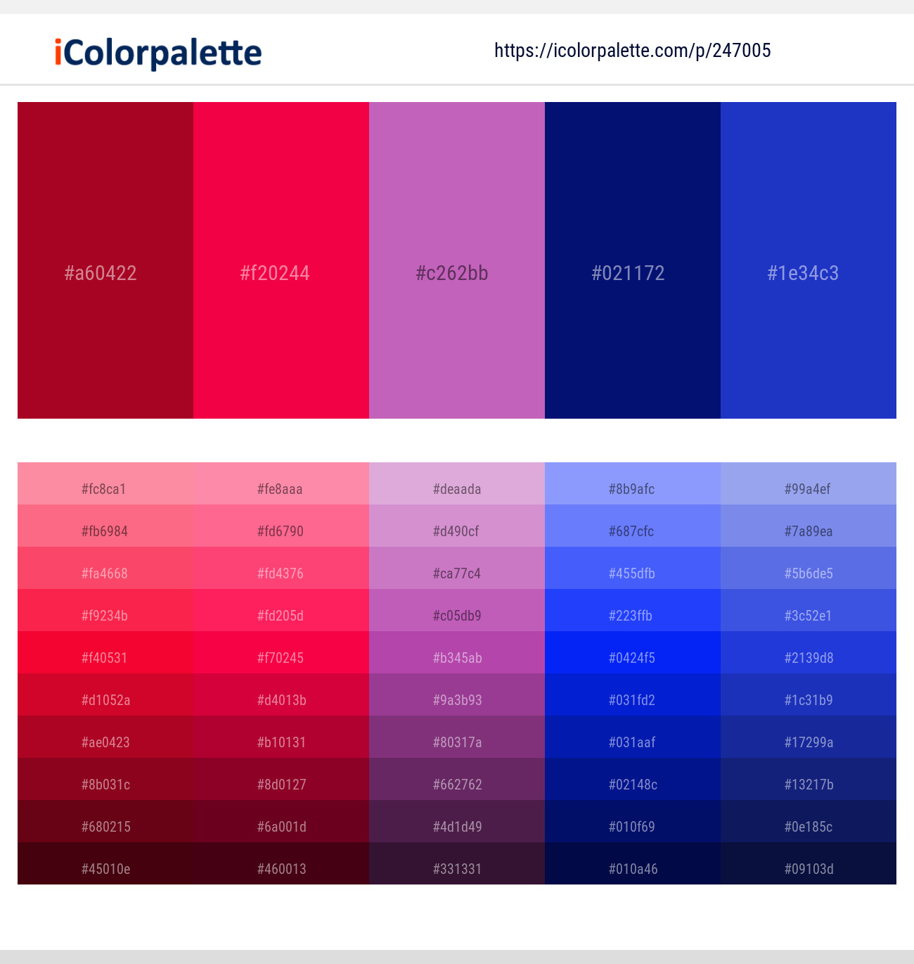 247005366 Bright Color Palettes