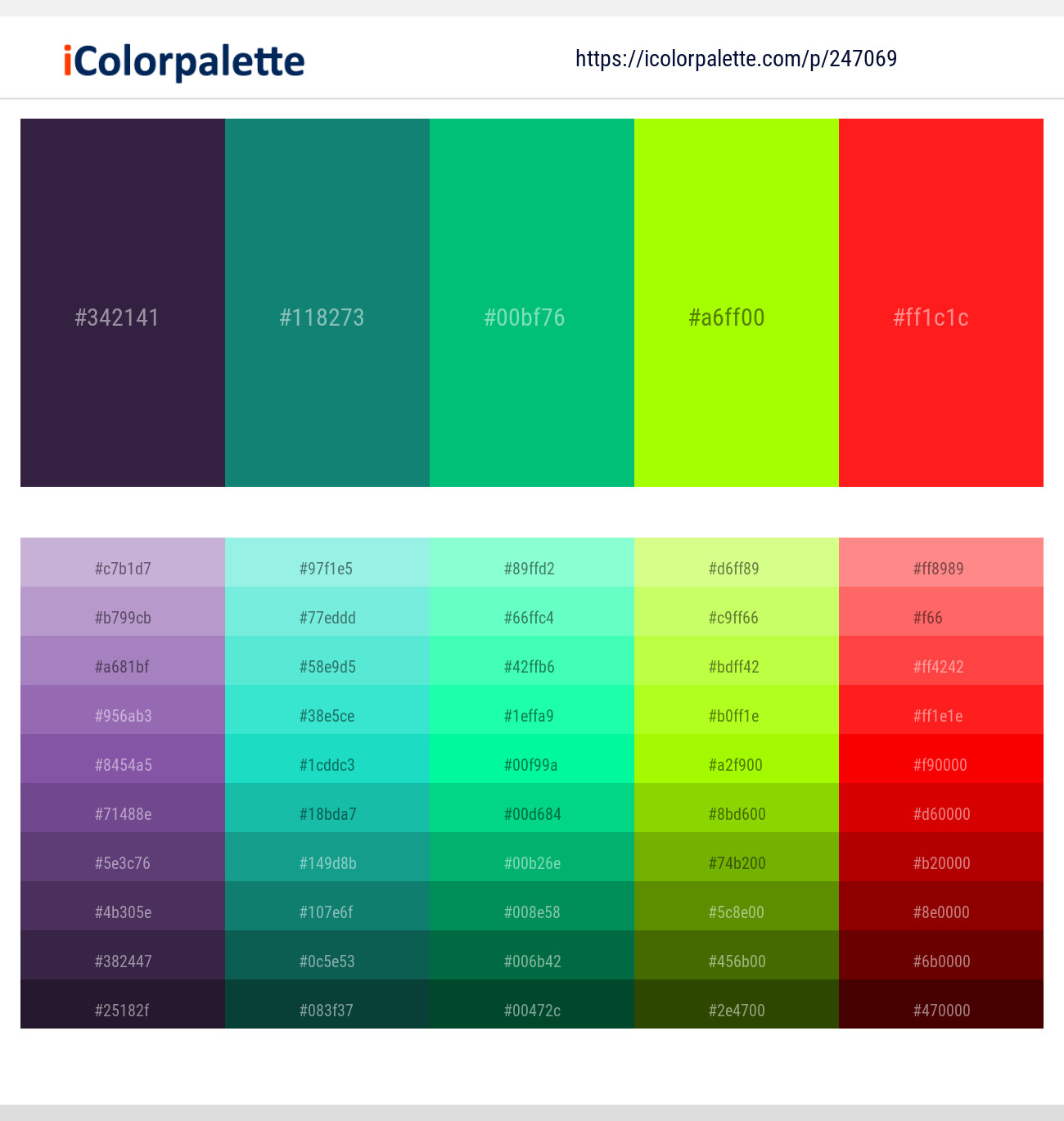 247069366 Bright Color Palettes