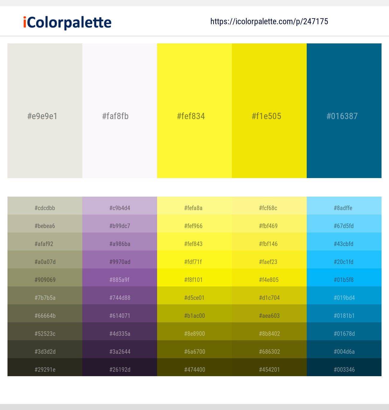 247175366 Bright Color Palettes
