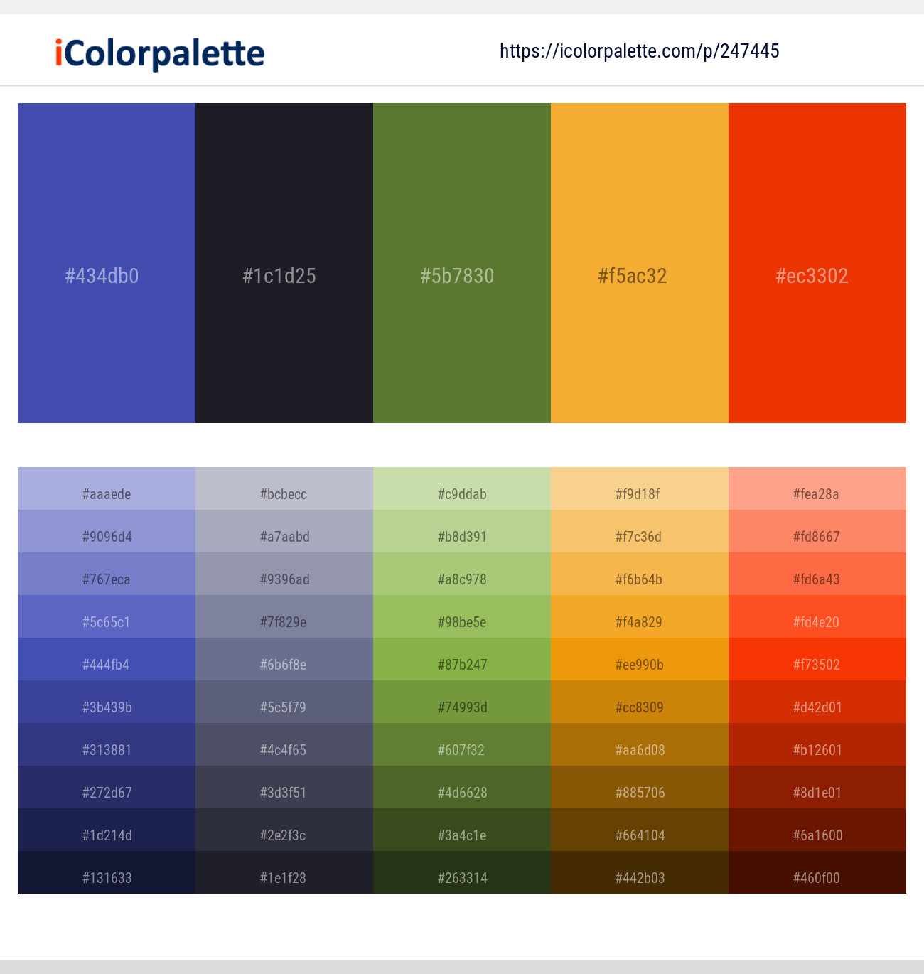 247445366 Bright Color Palettes