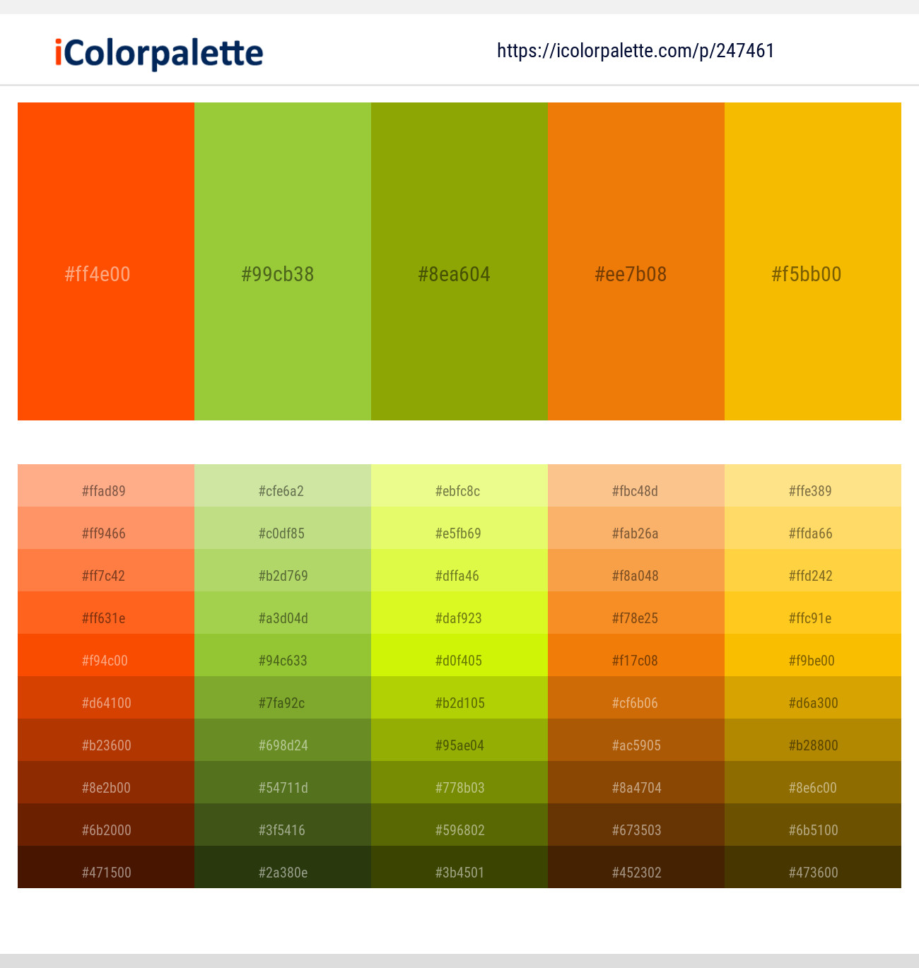 247461366 Bright Color Palettes