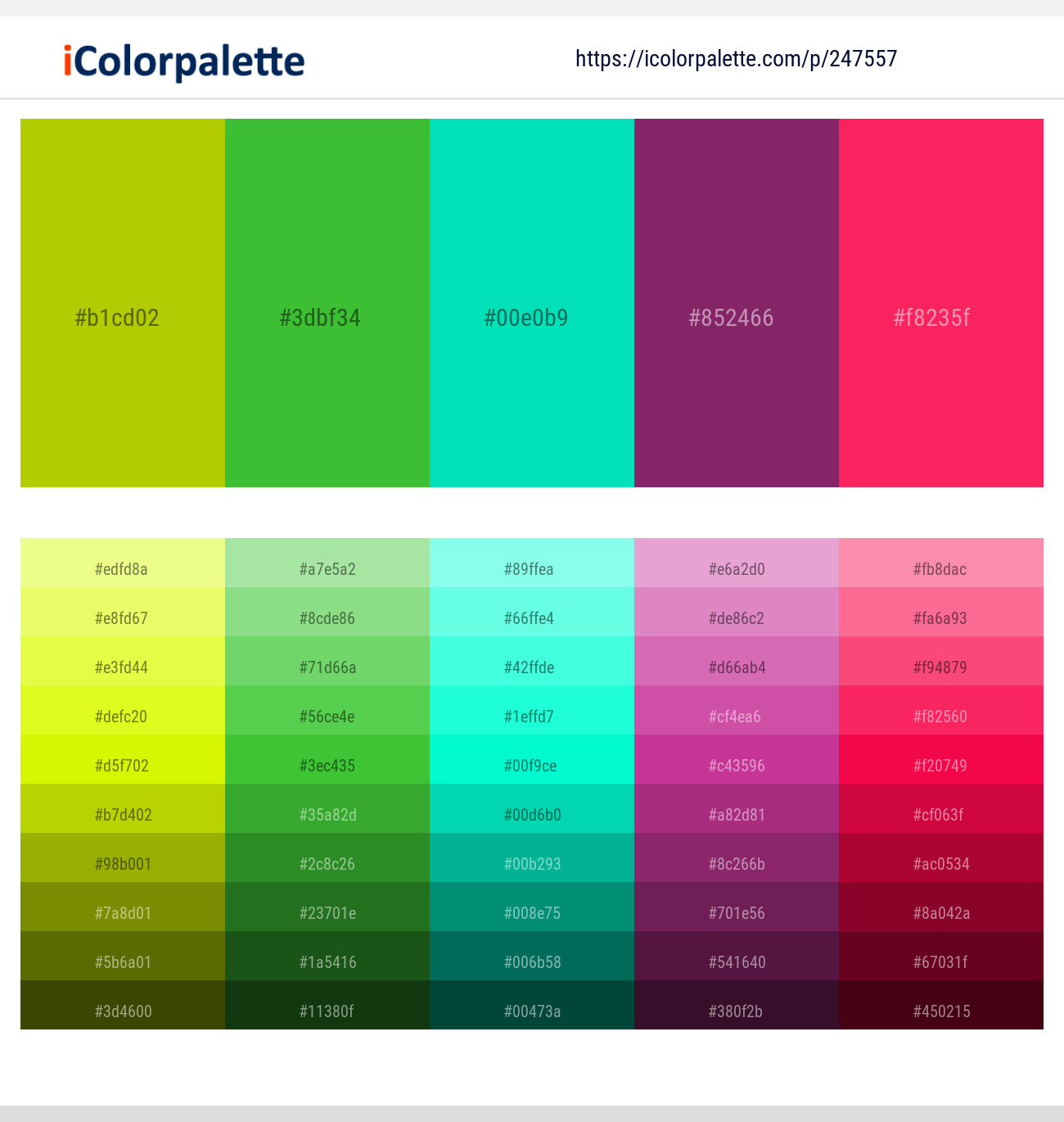 247557366 Bright Color Palettes