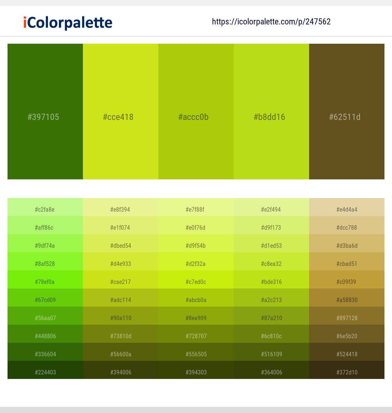 247562366 Bright Color Palettes