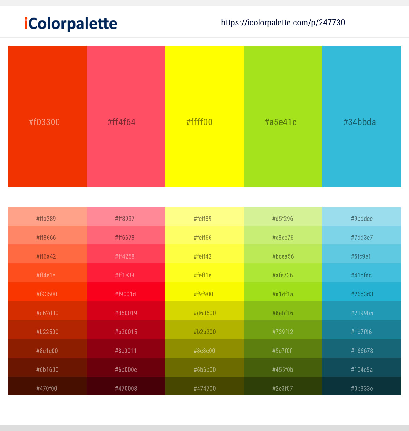 247730366 Bright Color Palettes