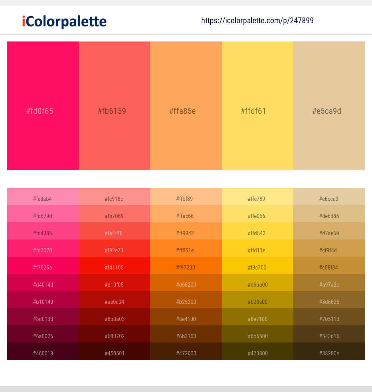 247899366 Bright Color Palettes