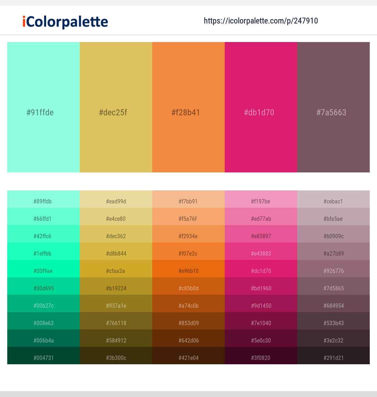 247910366 Bright Color Palettes