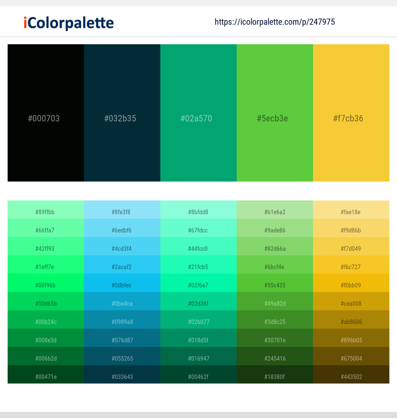 247975366 Bright Color Palettes