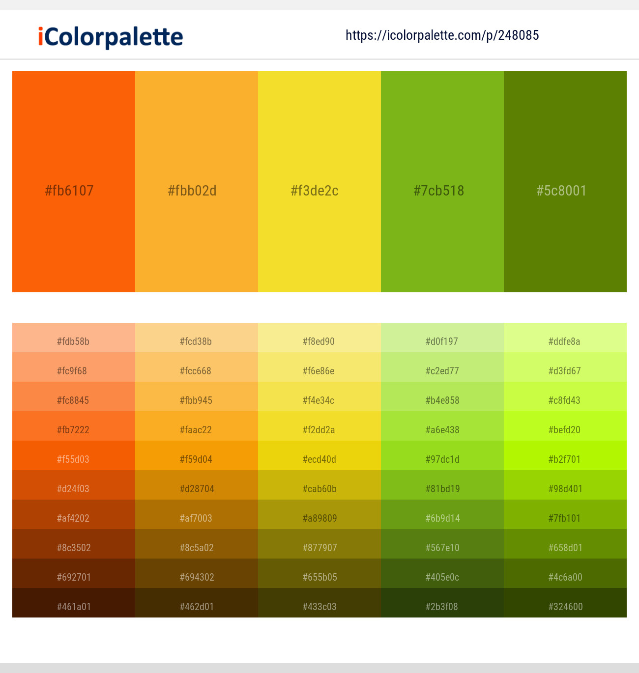 248085366 Bright Color Palettes