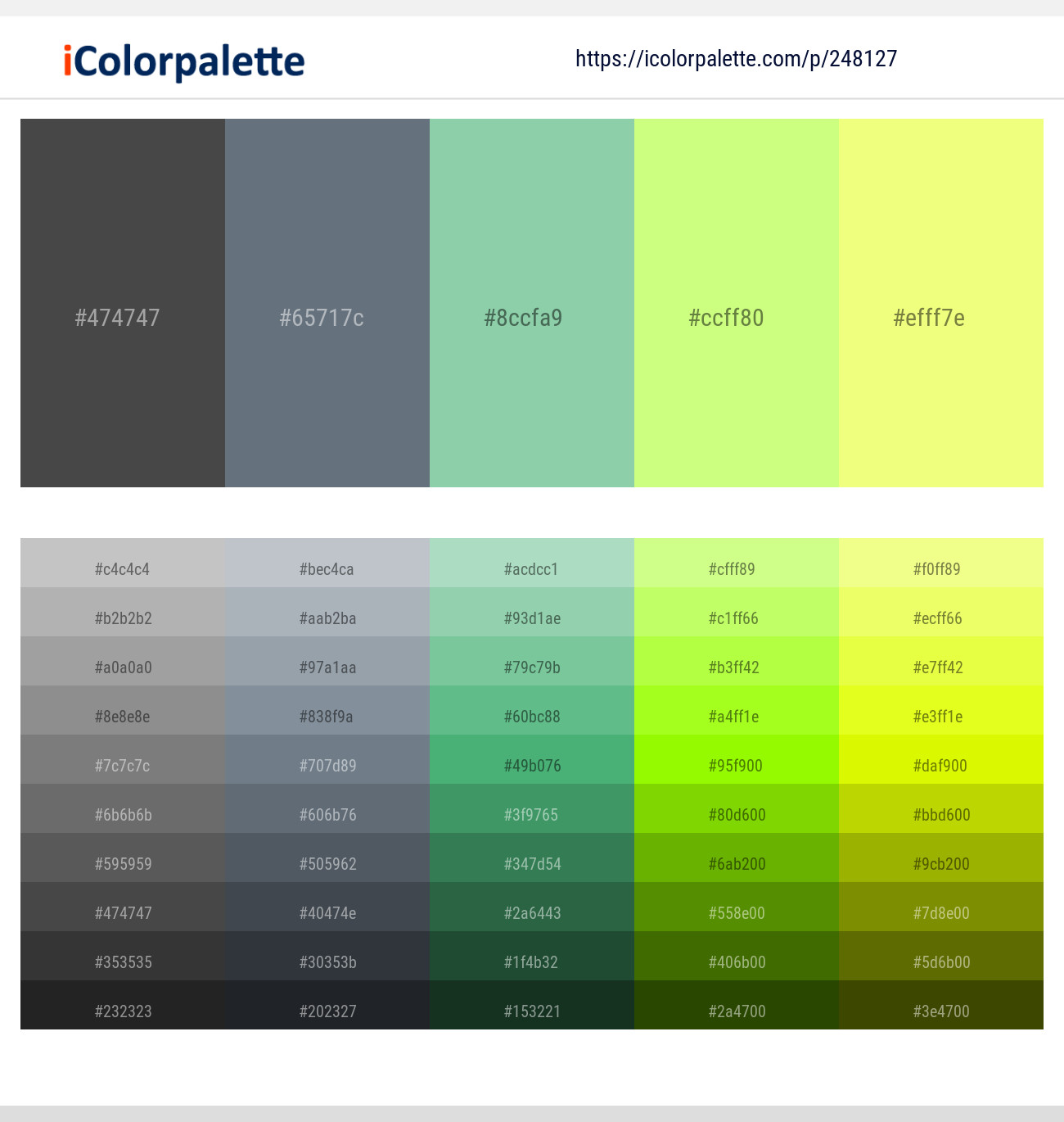248127366 Bright Color Palettes