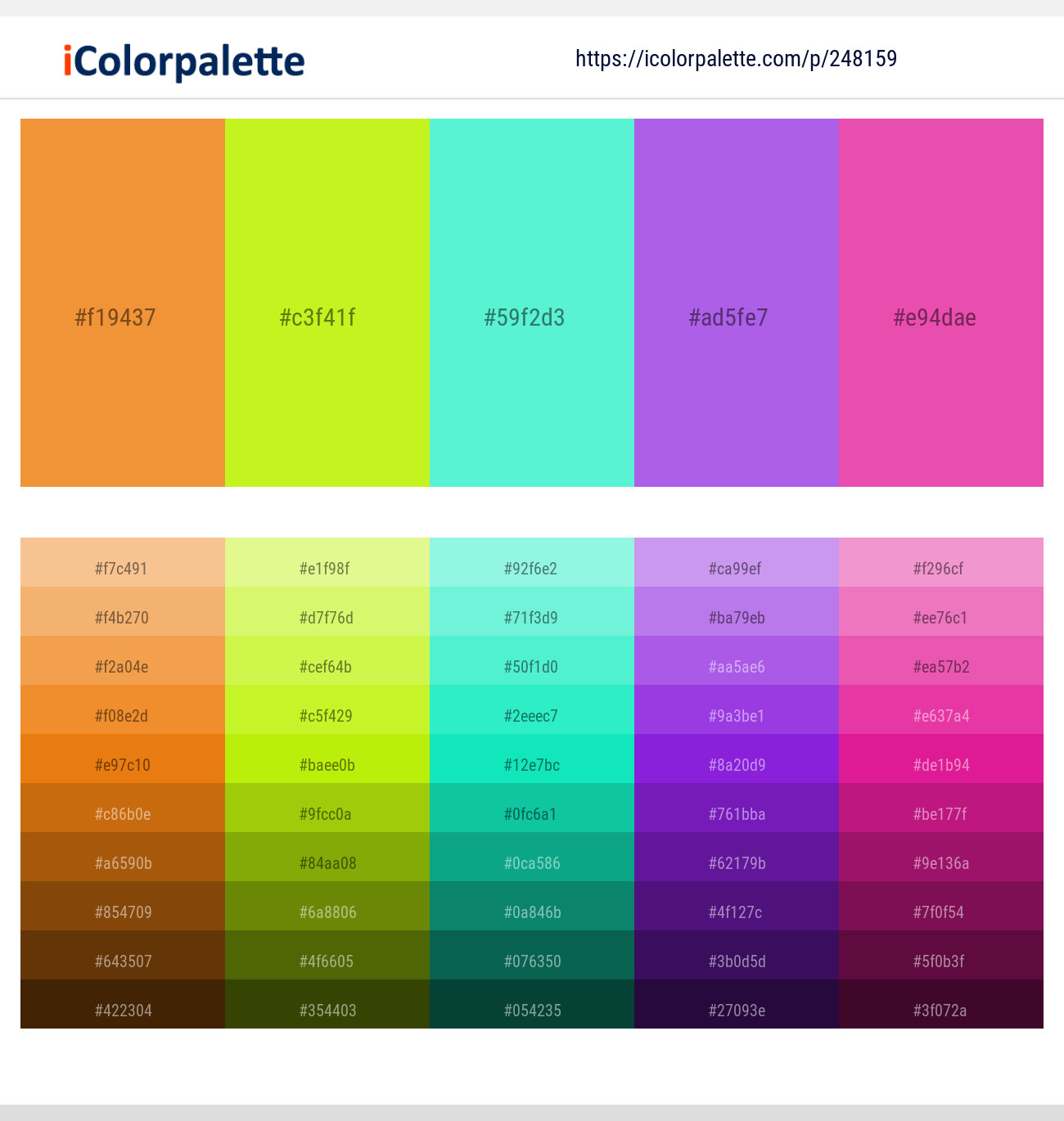 248159366 Bright Color Palettes