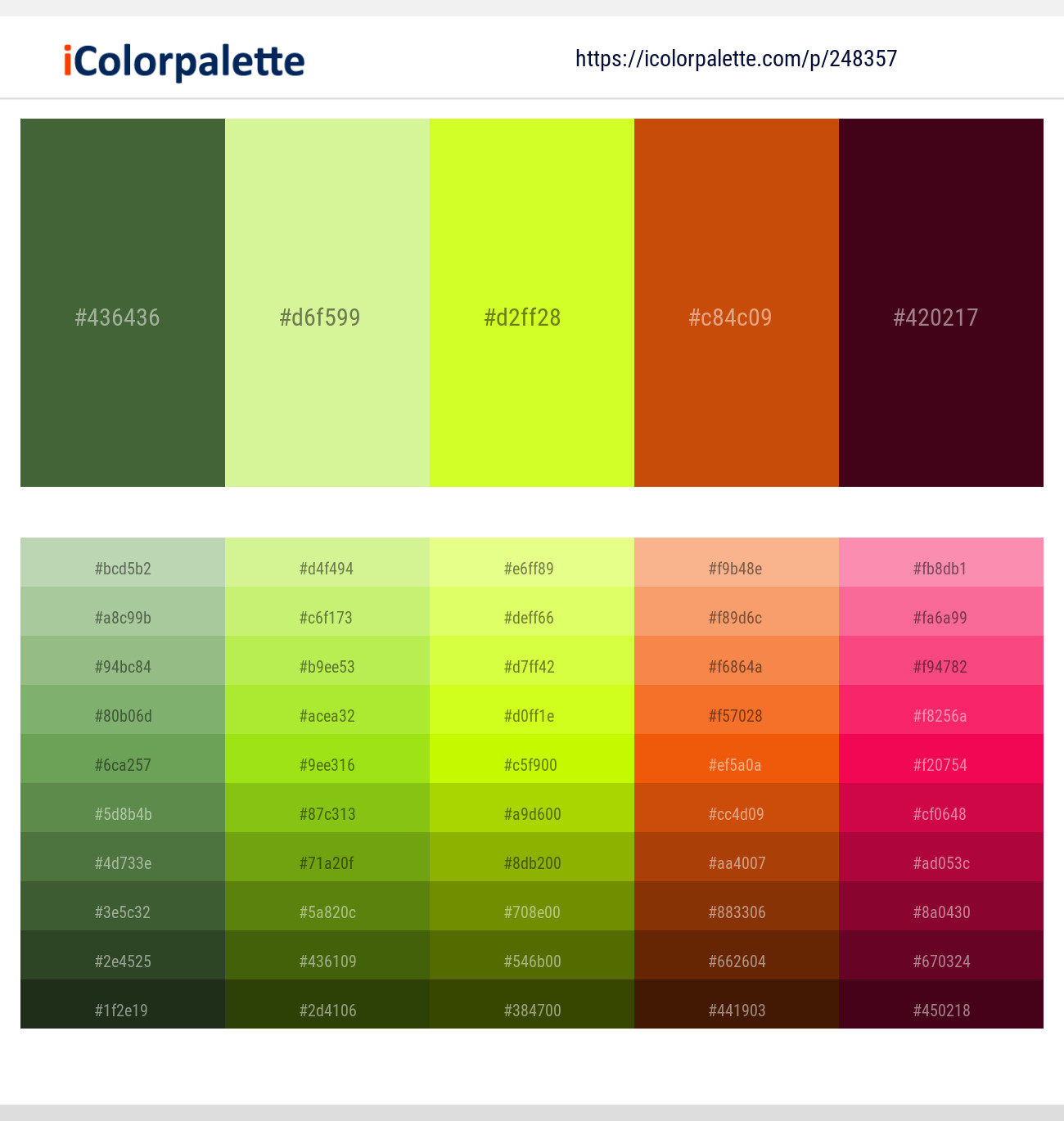 248357366 Bright Color Palettes