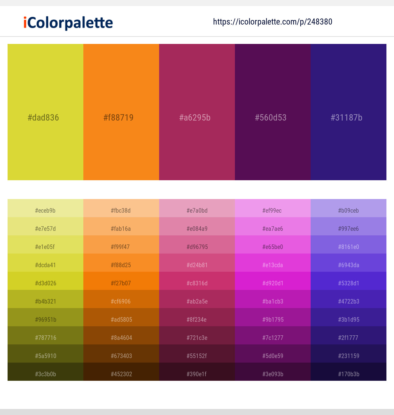 248380366 Bright Color Palettes