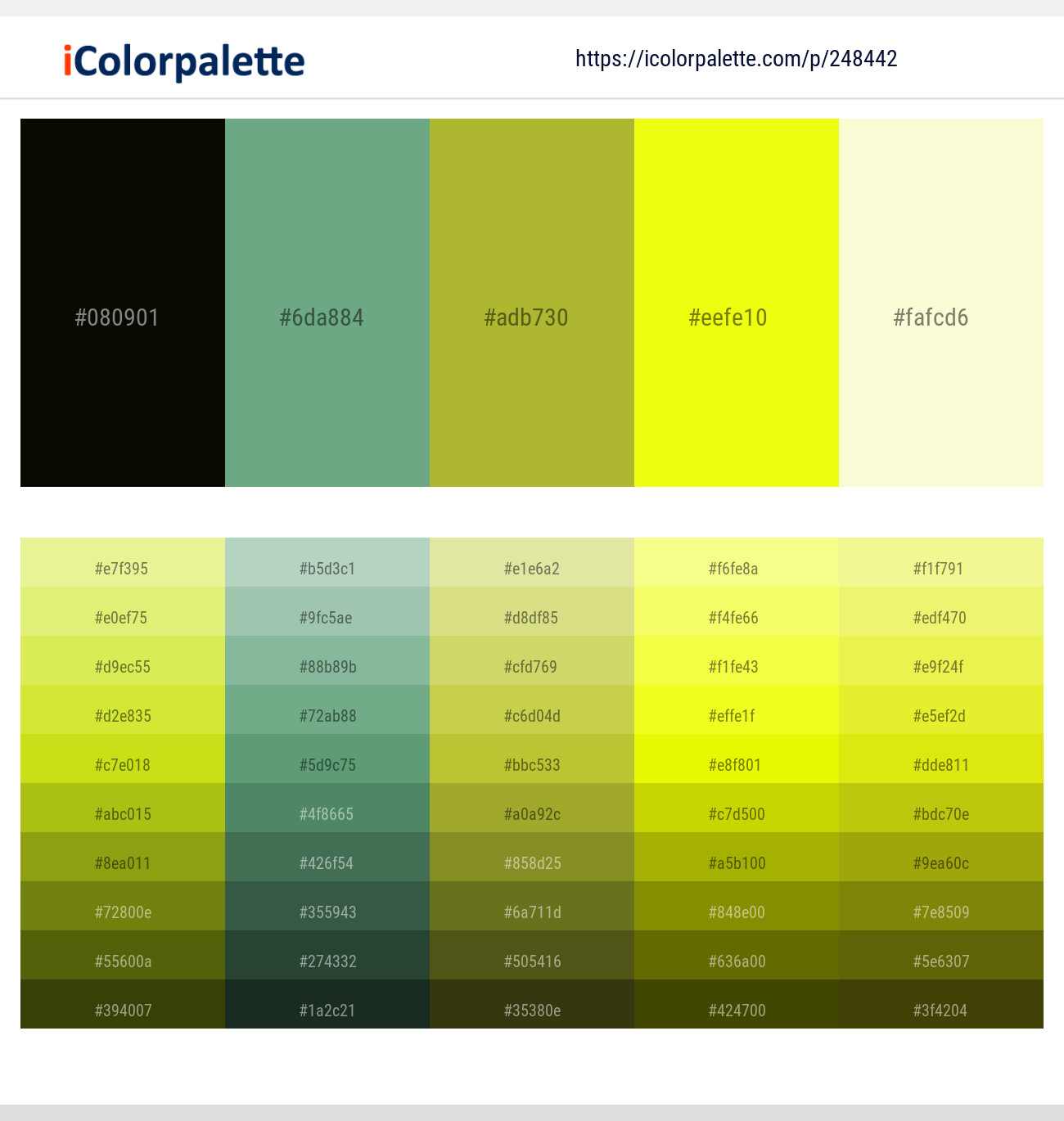 248442366 Bright Color Palettes