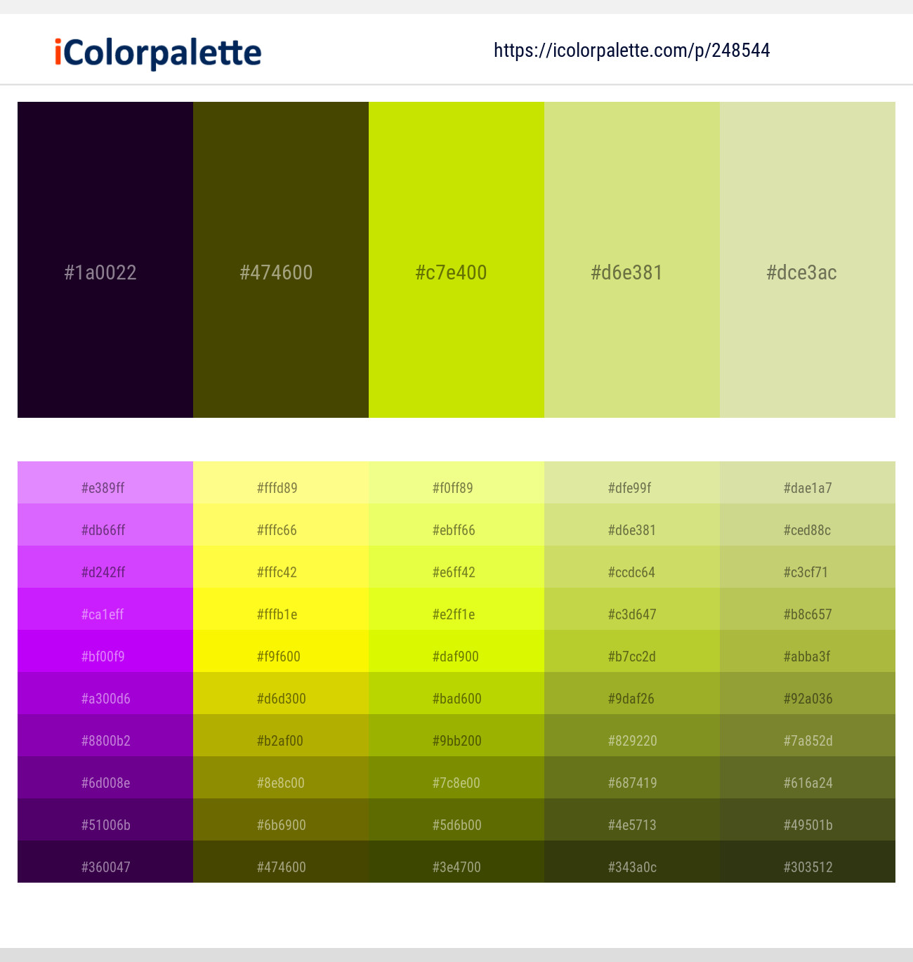 248544366 Bright Color Palettes