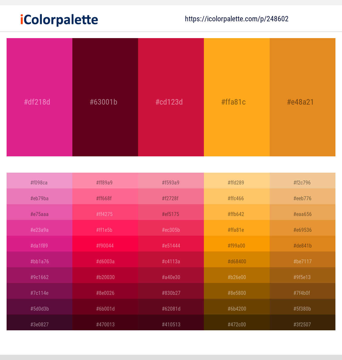 248602366 Bright Color Palettes