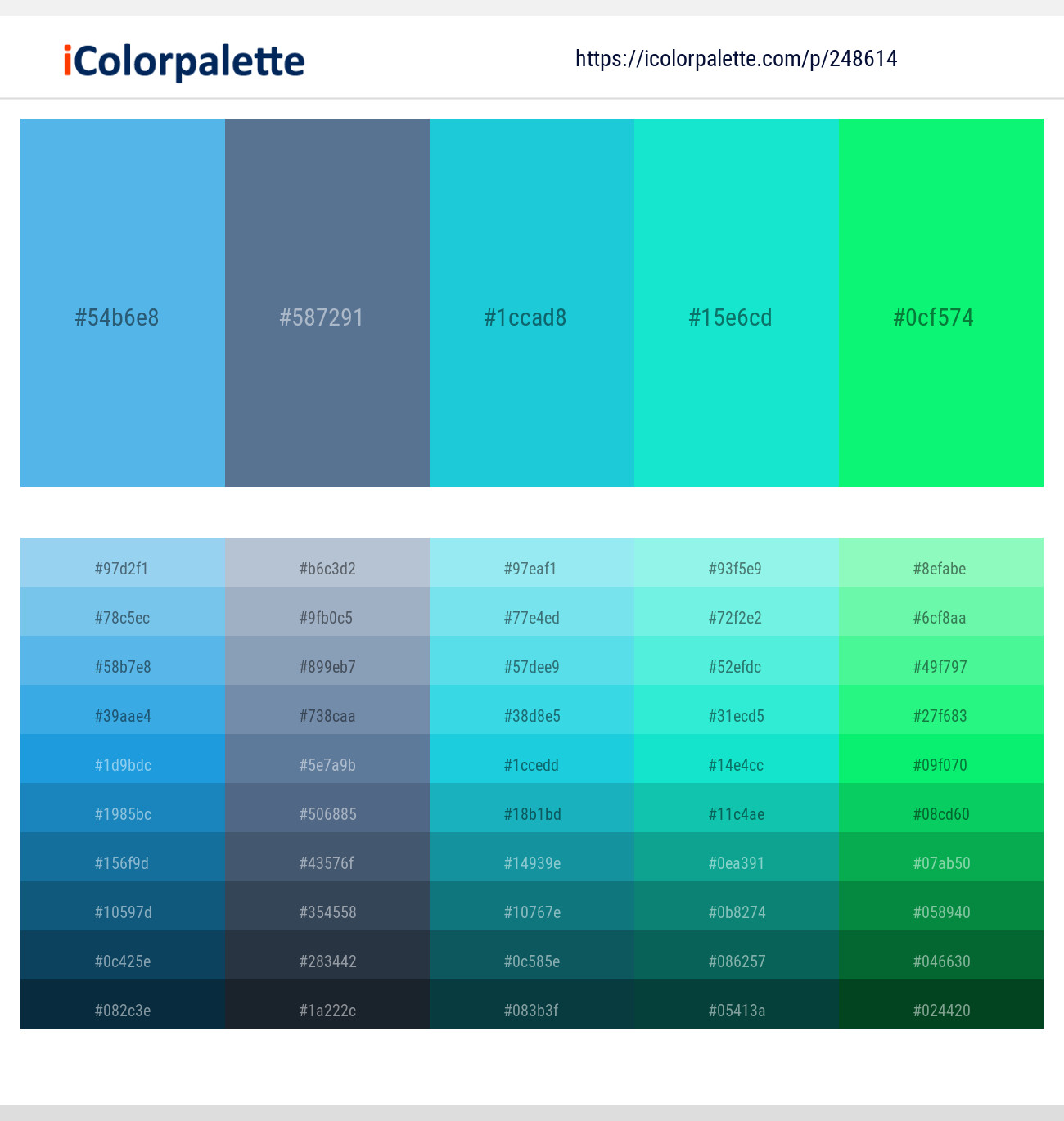 248614366 Bright Color Palettes