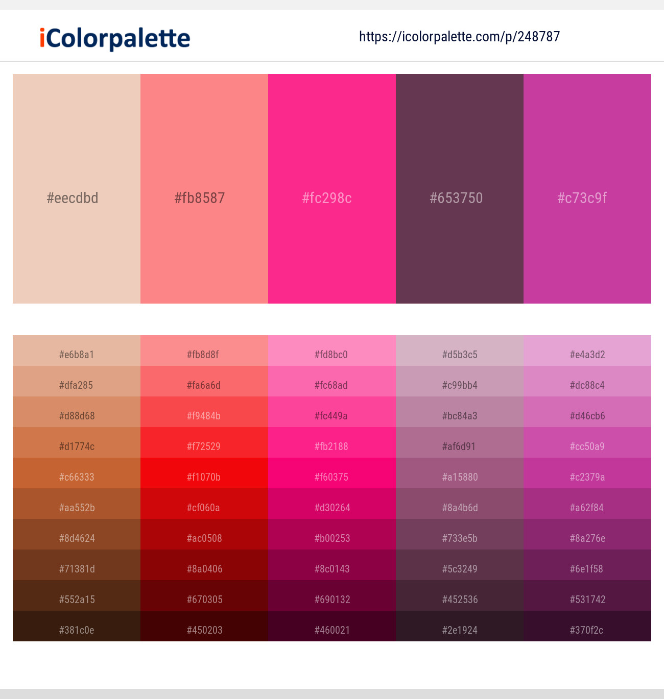 248787366 Bright Color Palettes