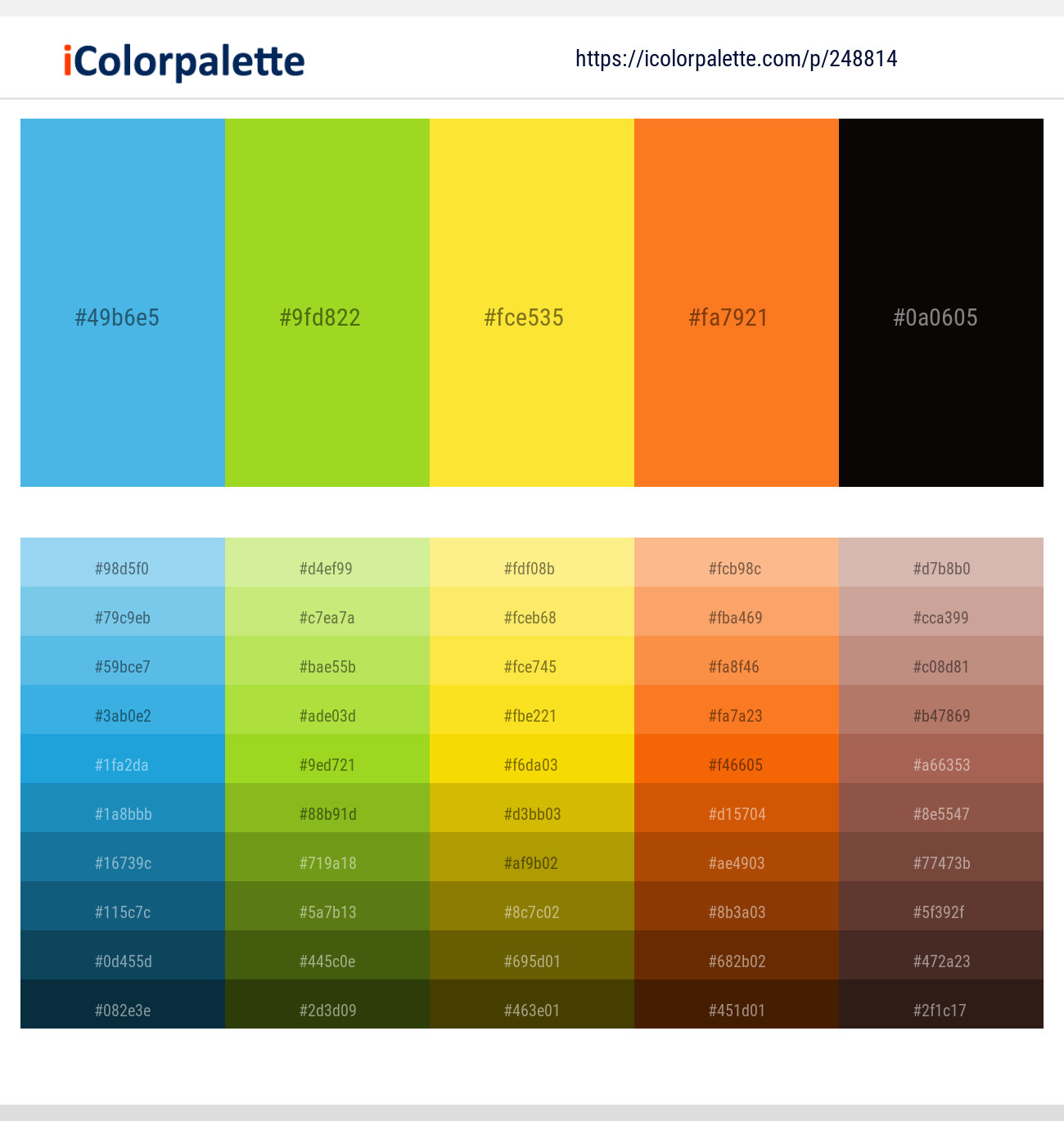248814366 Bright Color Palettes