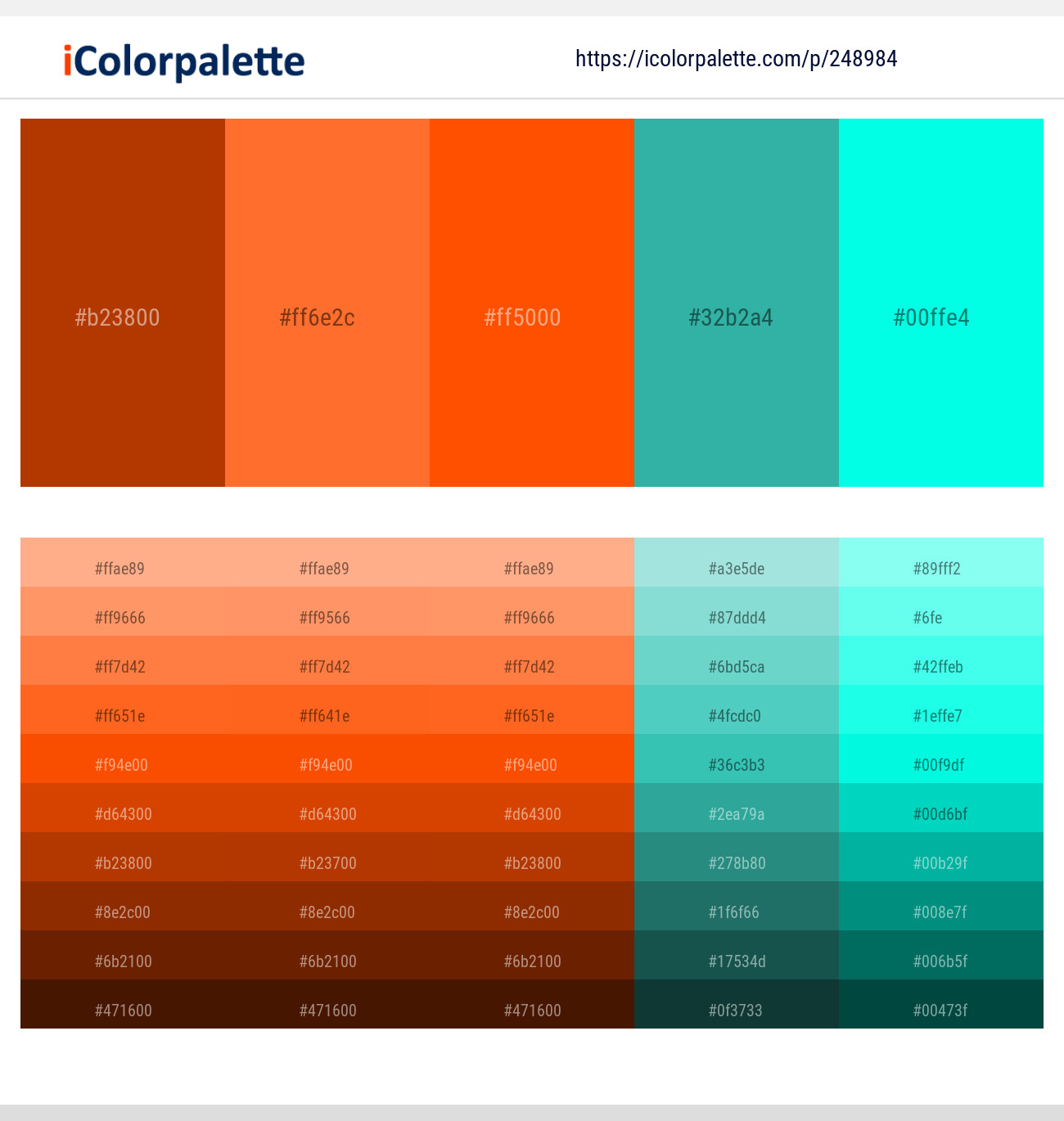 248984366 Bright Color Palettes