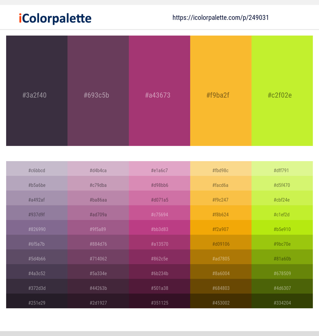 249031366 Bright Color Palettes