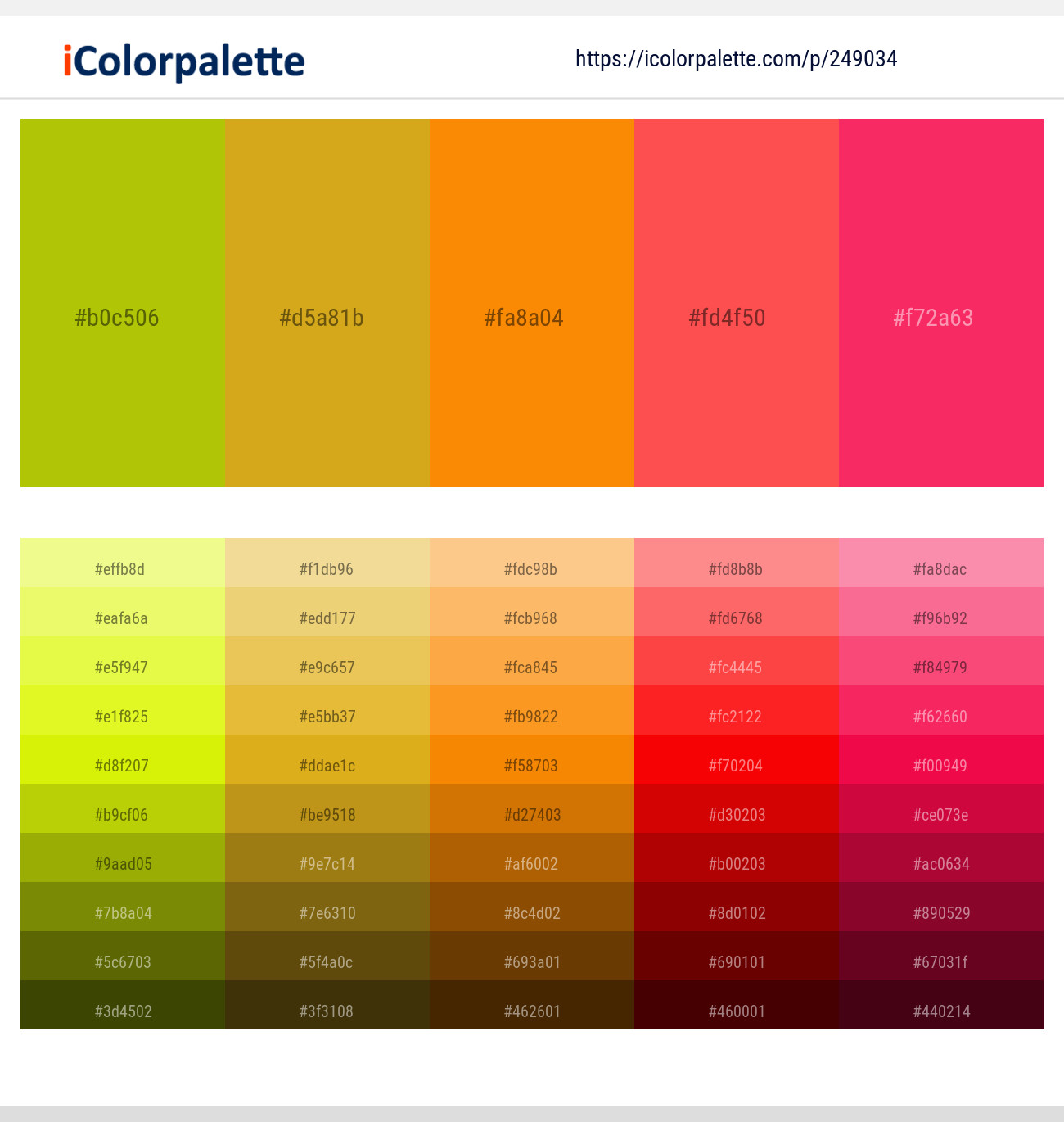249034366 Bright Color Palettes