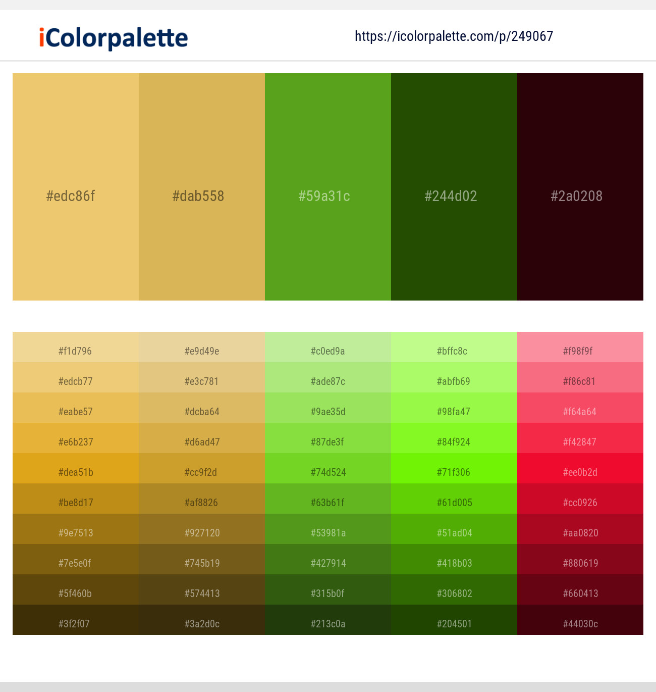 249067366 Bright Color Palettes