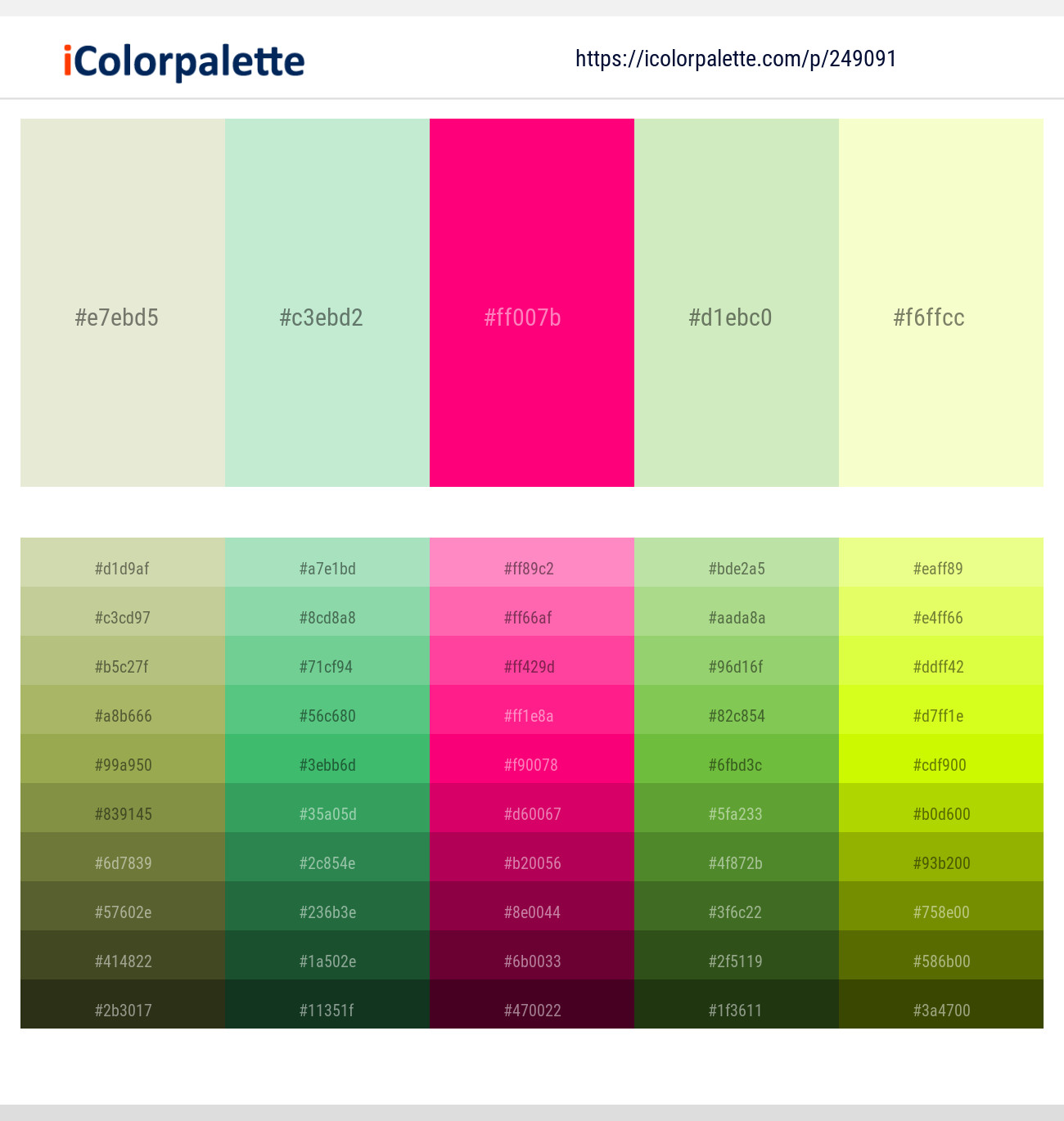 249091366 Bright Color Palettes