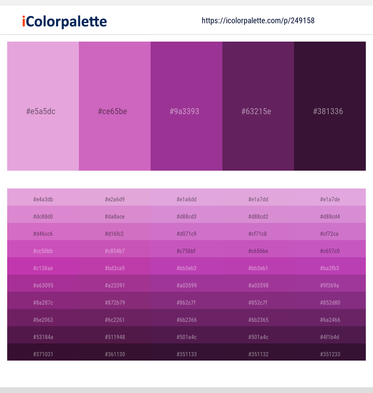 Light Orchid – Fuchsia Pink – Plum – Tawny Port – Wine Berry Color scheme