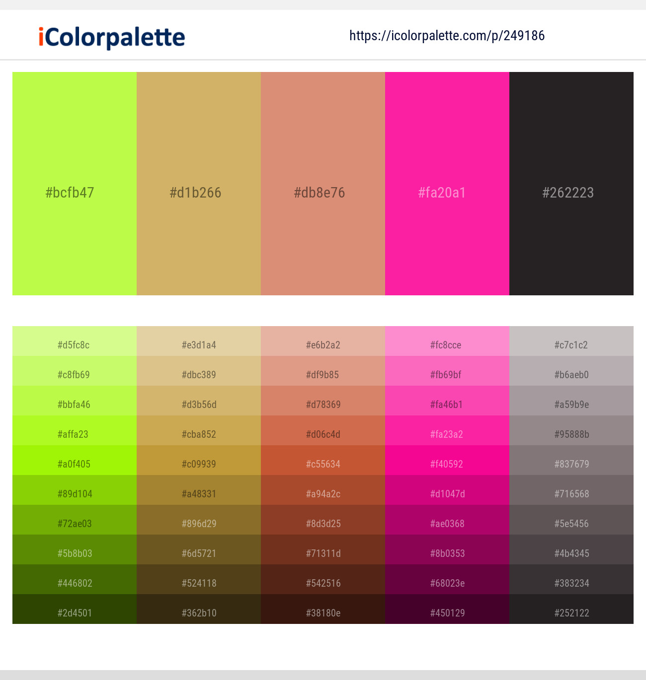 249186366 Bright Color Palettes