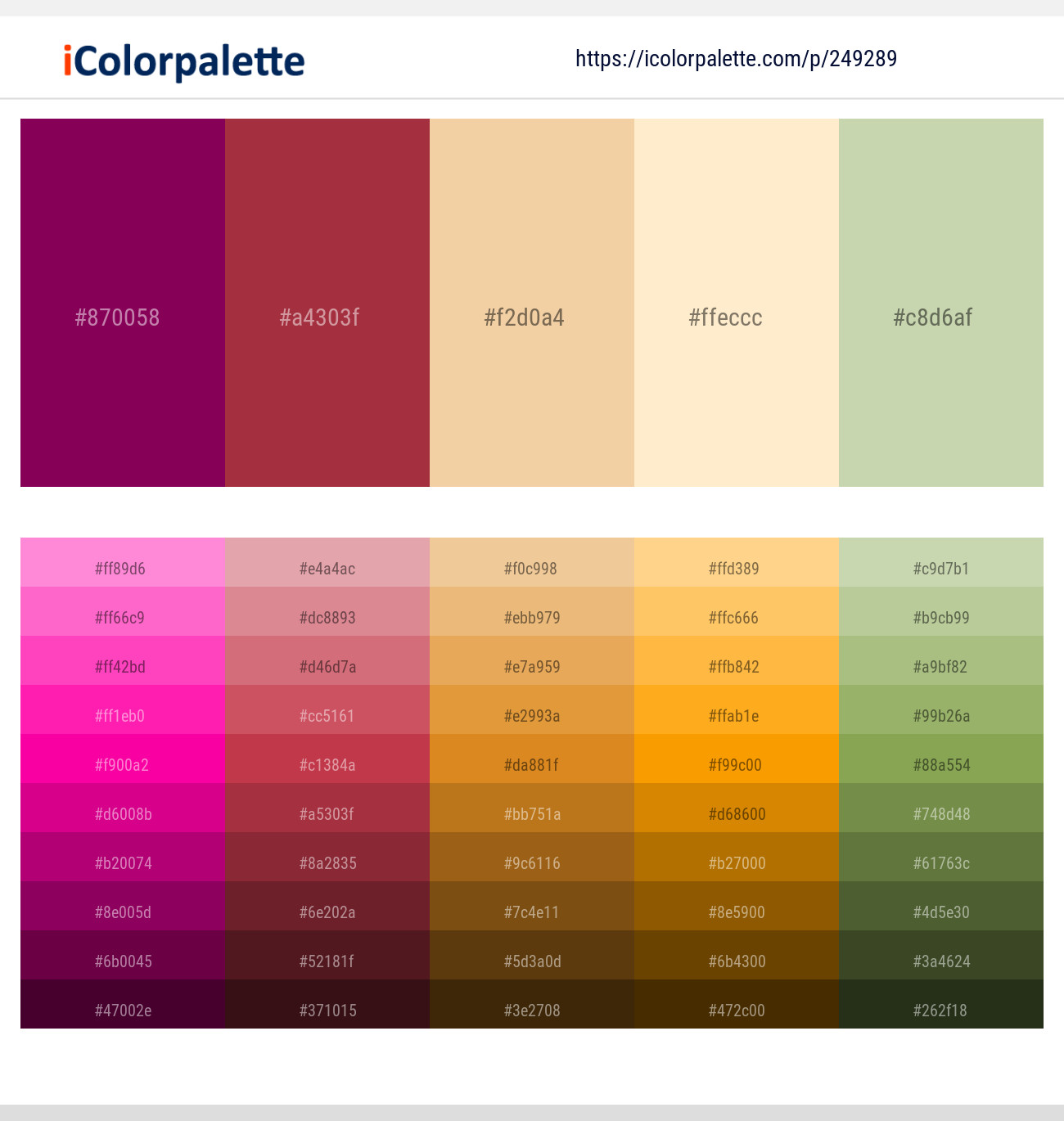 249289366 Bright Color Palettes