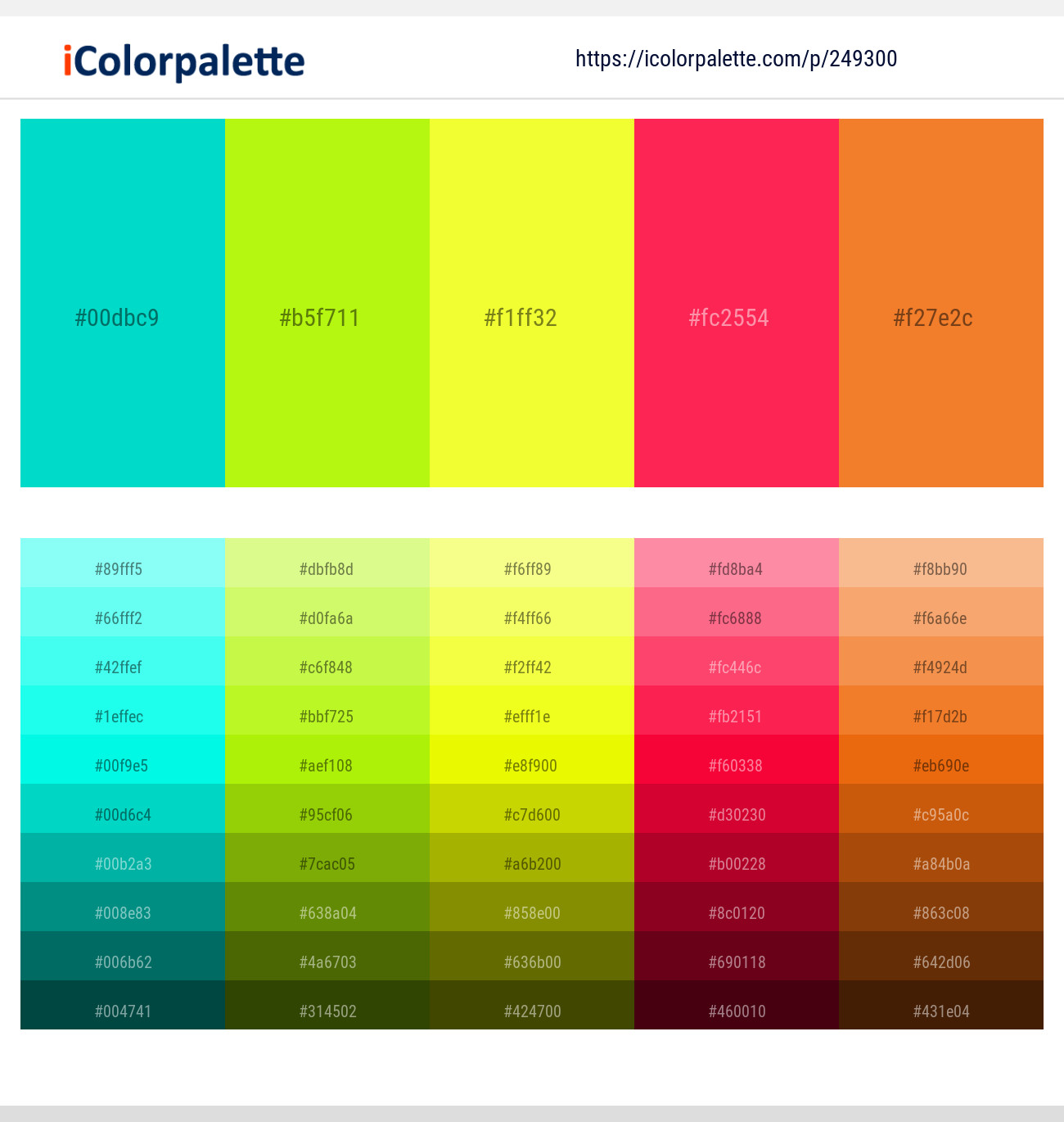 249300366 Bright Color Palettes